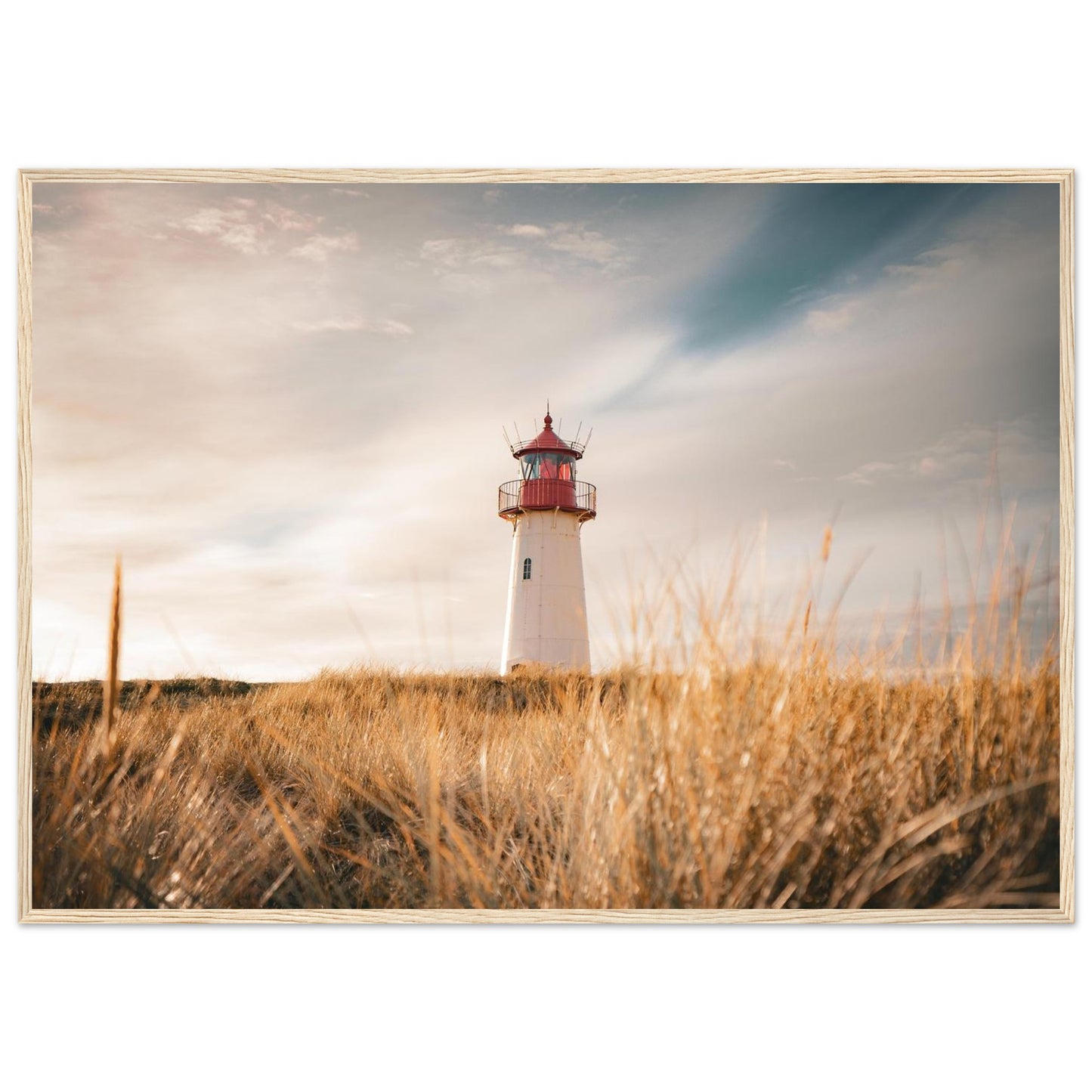 5e1a38fa-3925-40a6-88d8-08c179eb2685