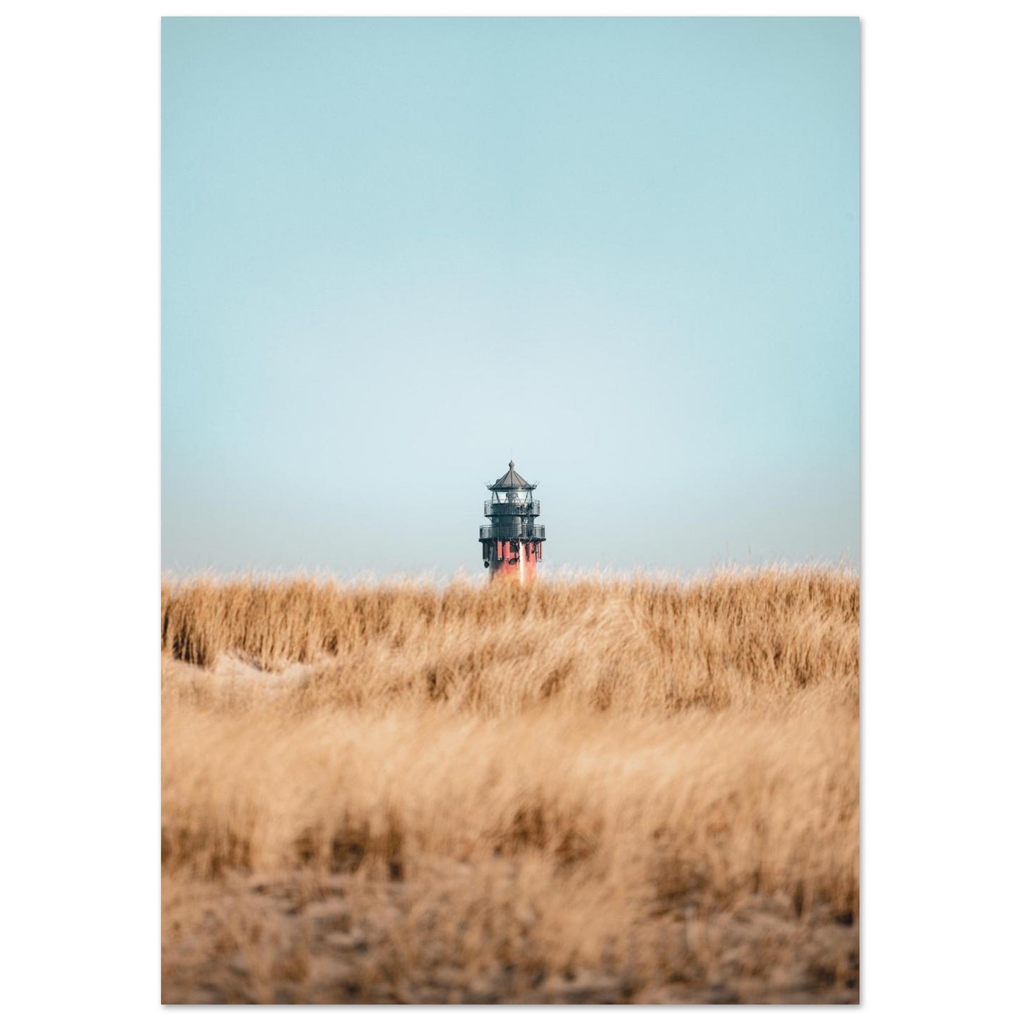 00d1325c-ab83-424f-b13d-541d9ea0a8c4