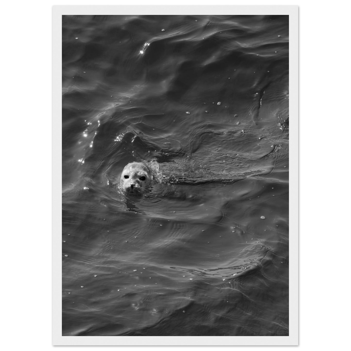 04a05881-0fdd-4ae0-b463-e135f95f97ca