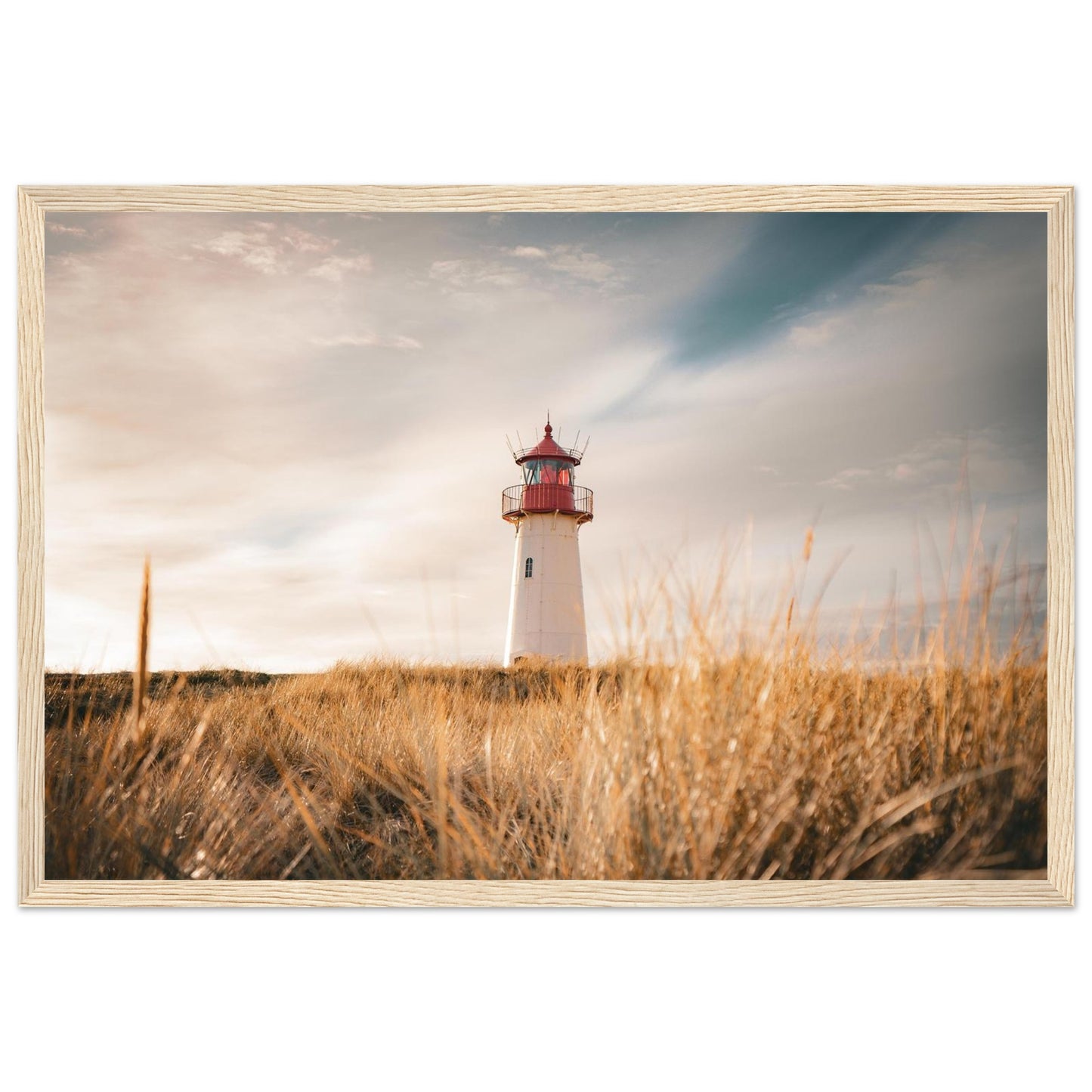 0af1973f-8471-4848-8301-ac88b1f88e37