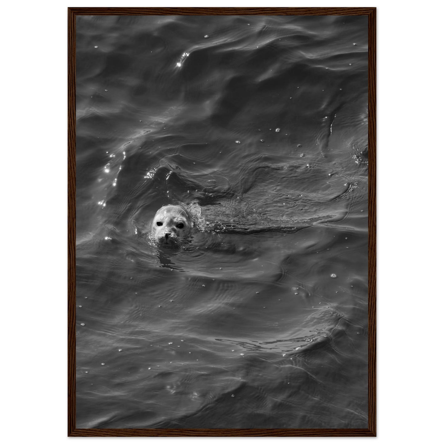 0c067a88-b35e-4d30-8917-93c650f24563