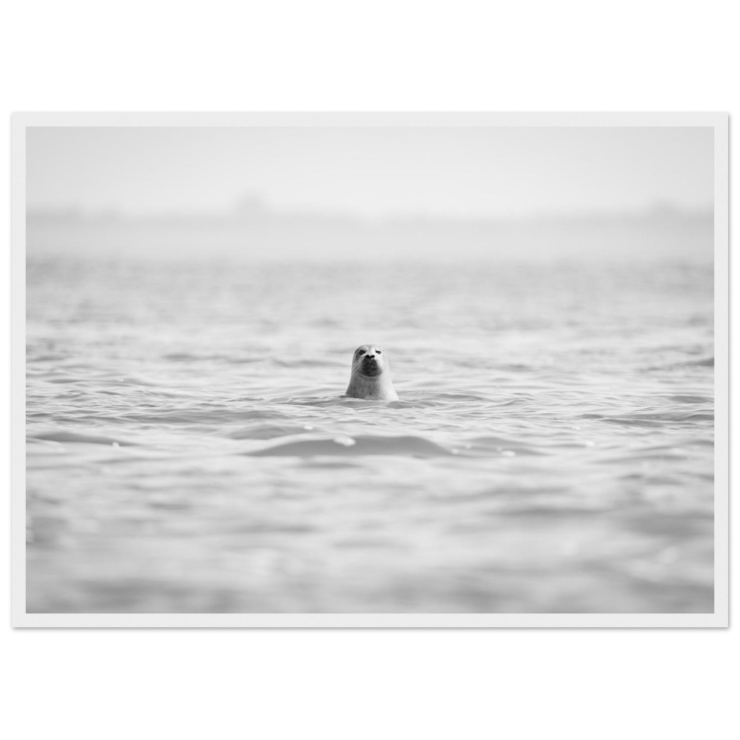 0e9efd22-815d-4c83-af6b-744e2a8a37e6