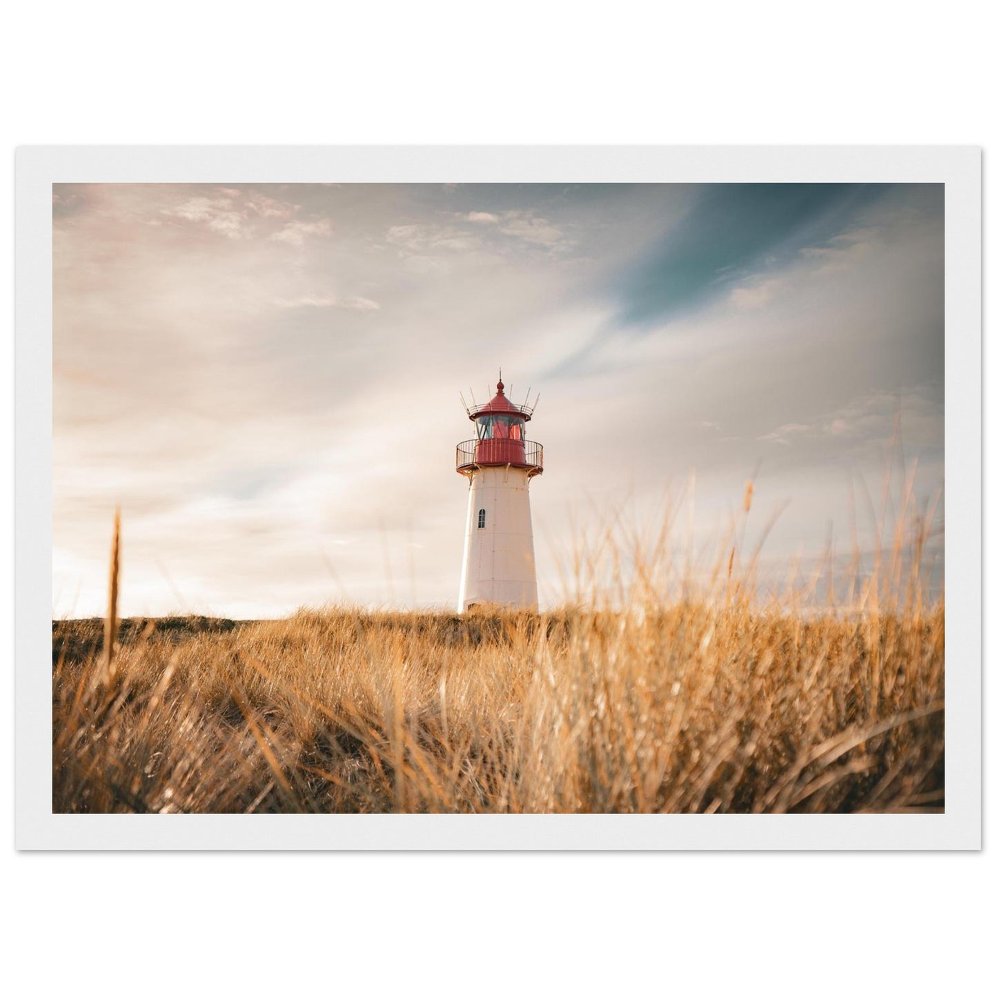 0fc6f11d-16b3-4ec2-adc8-289d14e305d9