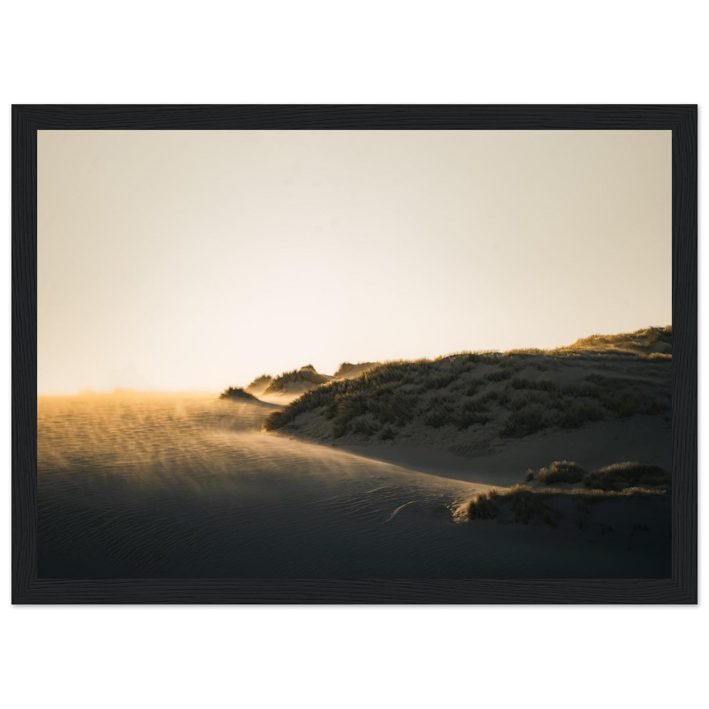 1aa6c4e5-4811-45e9-9eee-13ea7c11ac54