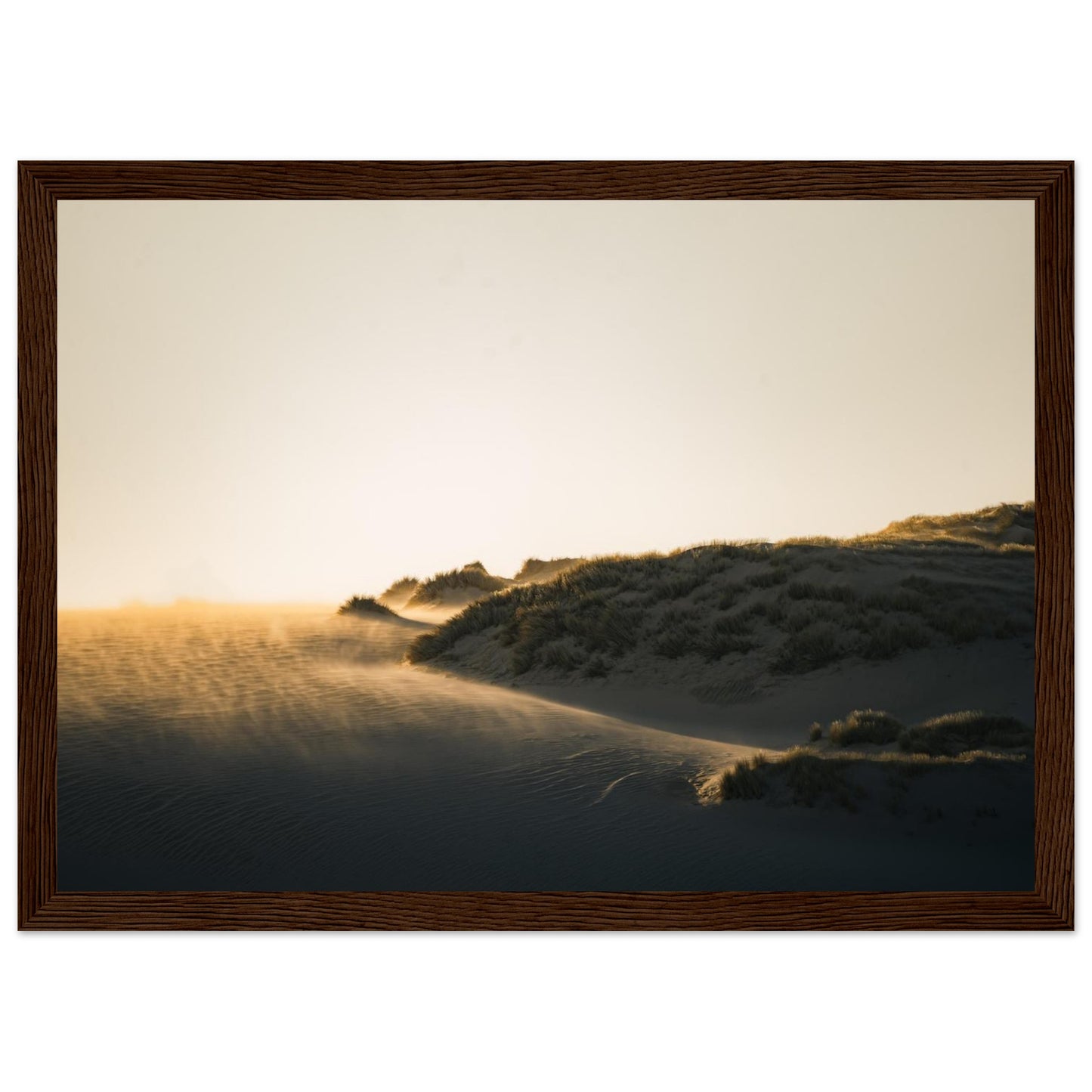 1d558d78-a2ea-495f-8666-bc7eca3d973e