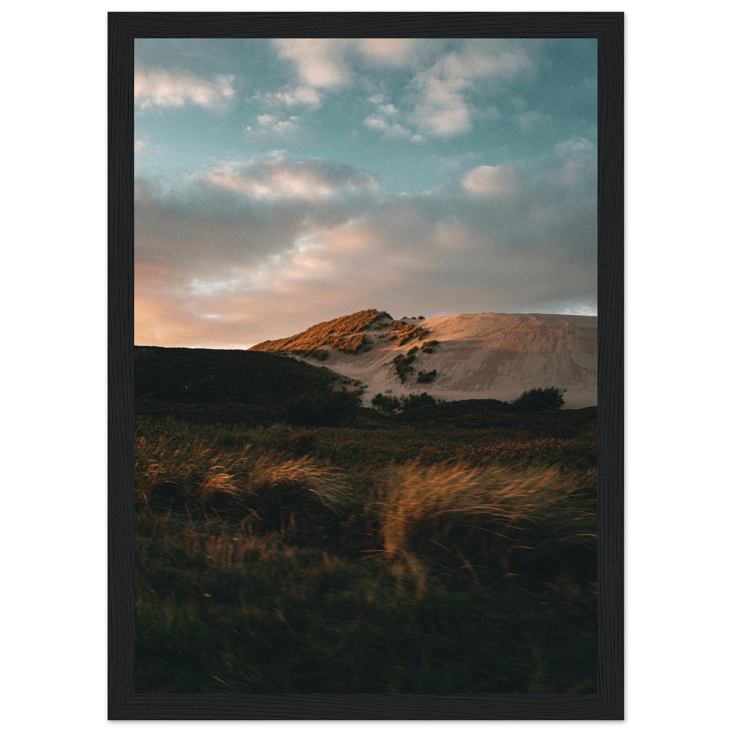 1d9bf690-28dc-4f07-885f-495db3488378