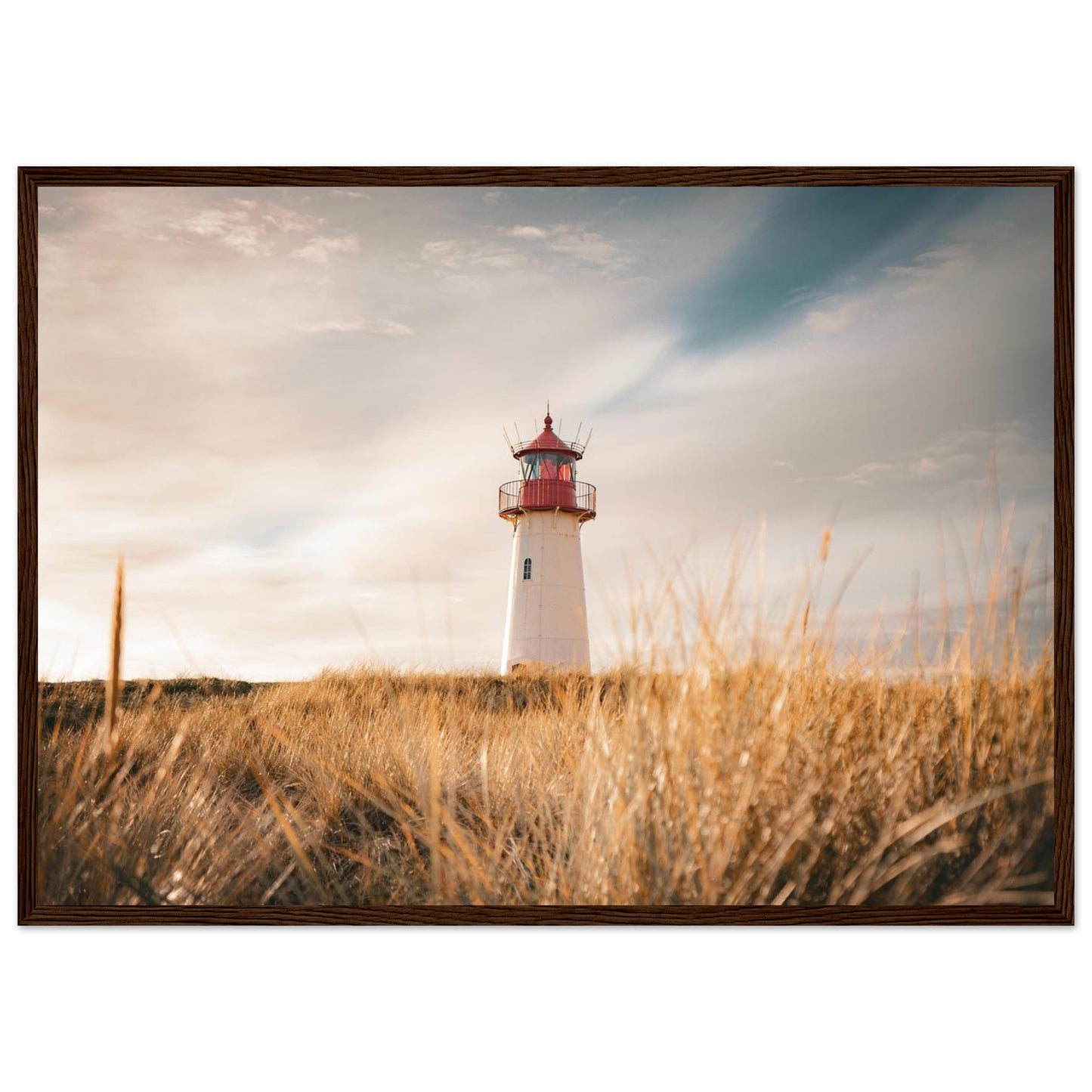 1ef3e937-5c94-4a93-8e25-4c71e1a376a4