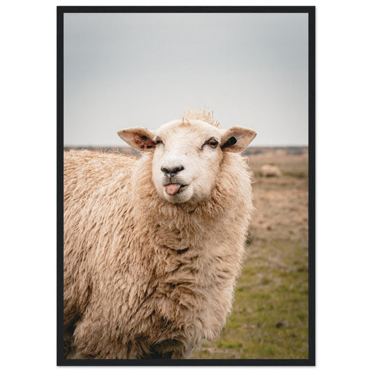 1fdbd103-4129-483b-81fc-3b8d1f0bfcc0