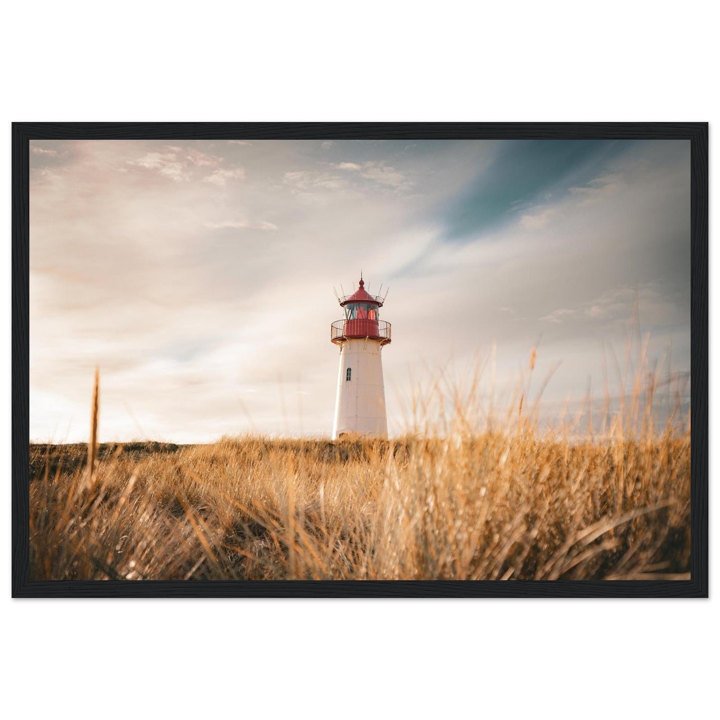 2155b1d9-80b3-4dfb-8f1f-4f7c8cc78e7e