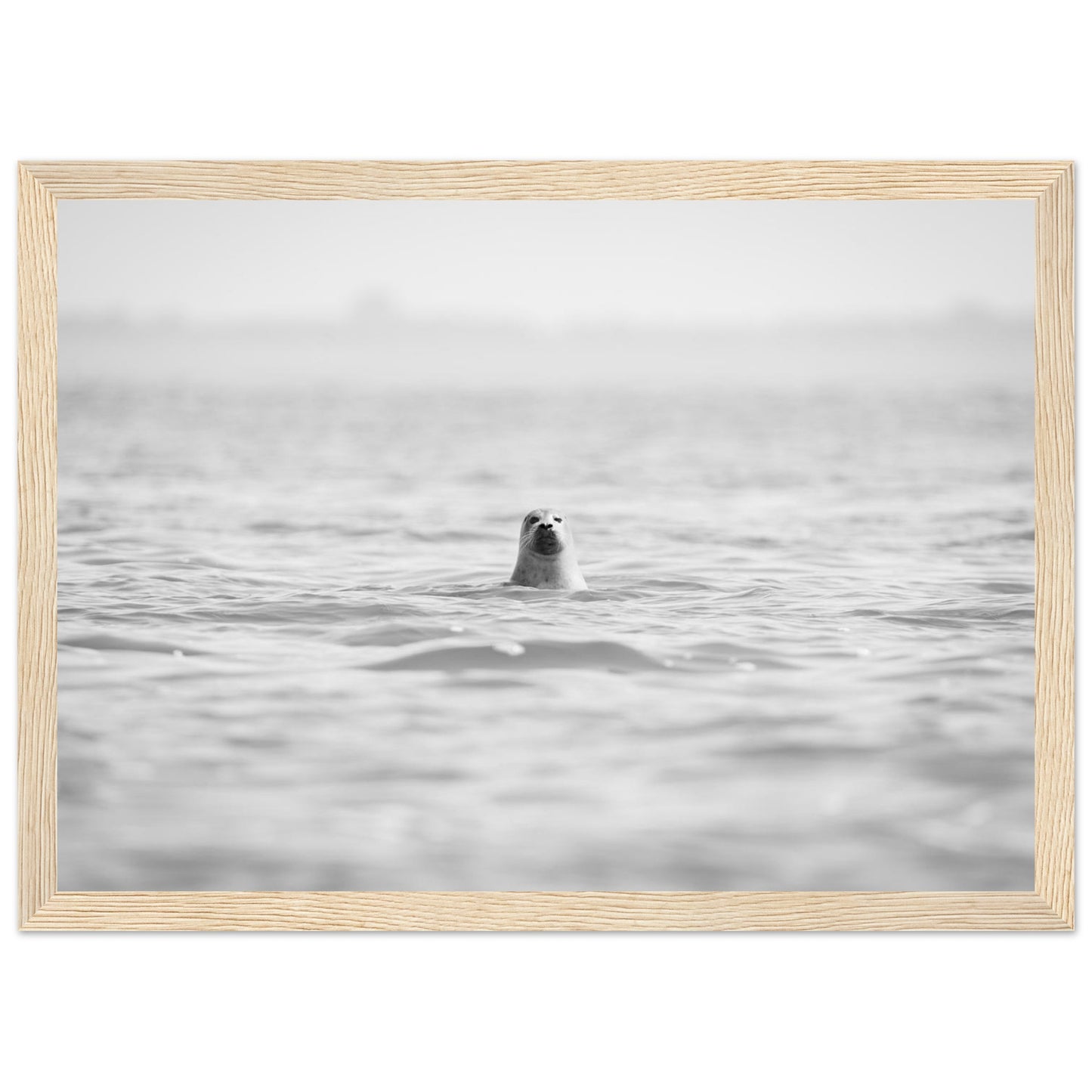 27b1907a-e821-4399-bb7d-451eac508e31