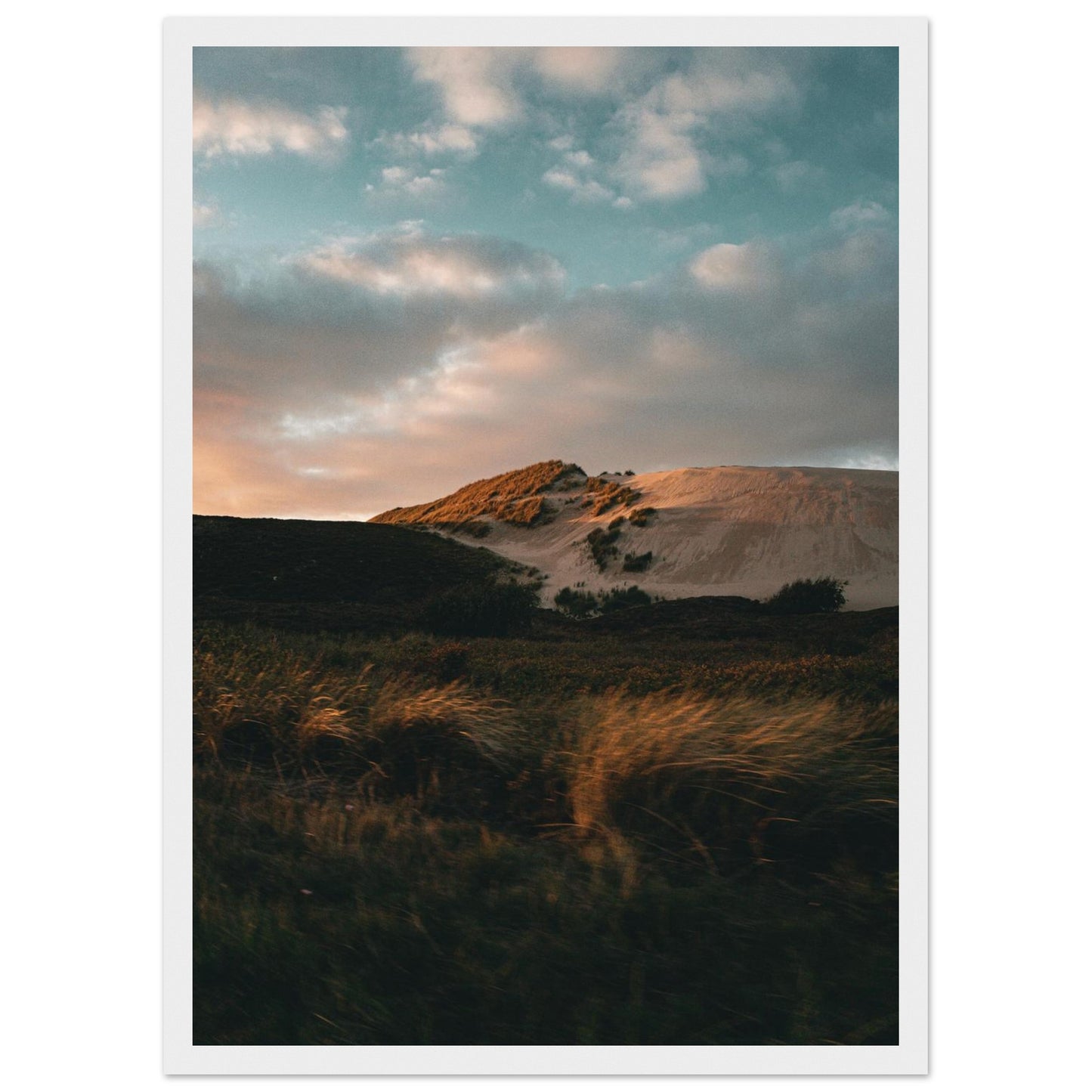 2c2ddb9f-7275-4ed9-a51f-446ff7e6d4cd