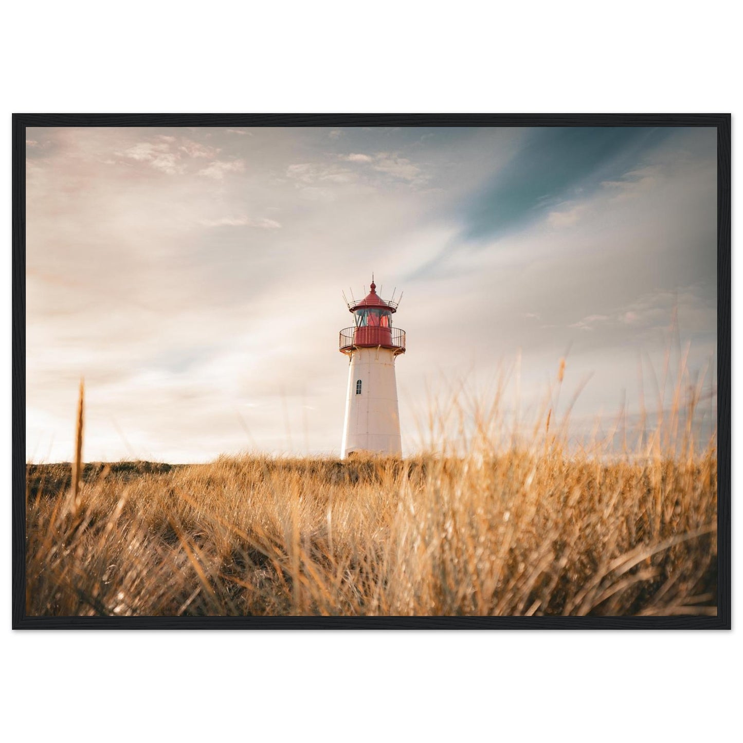 2e567d39-a530-420d-a14a-1a166bda2419