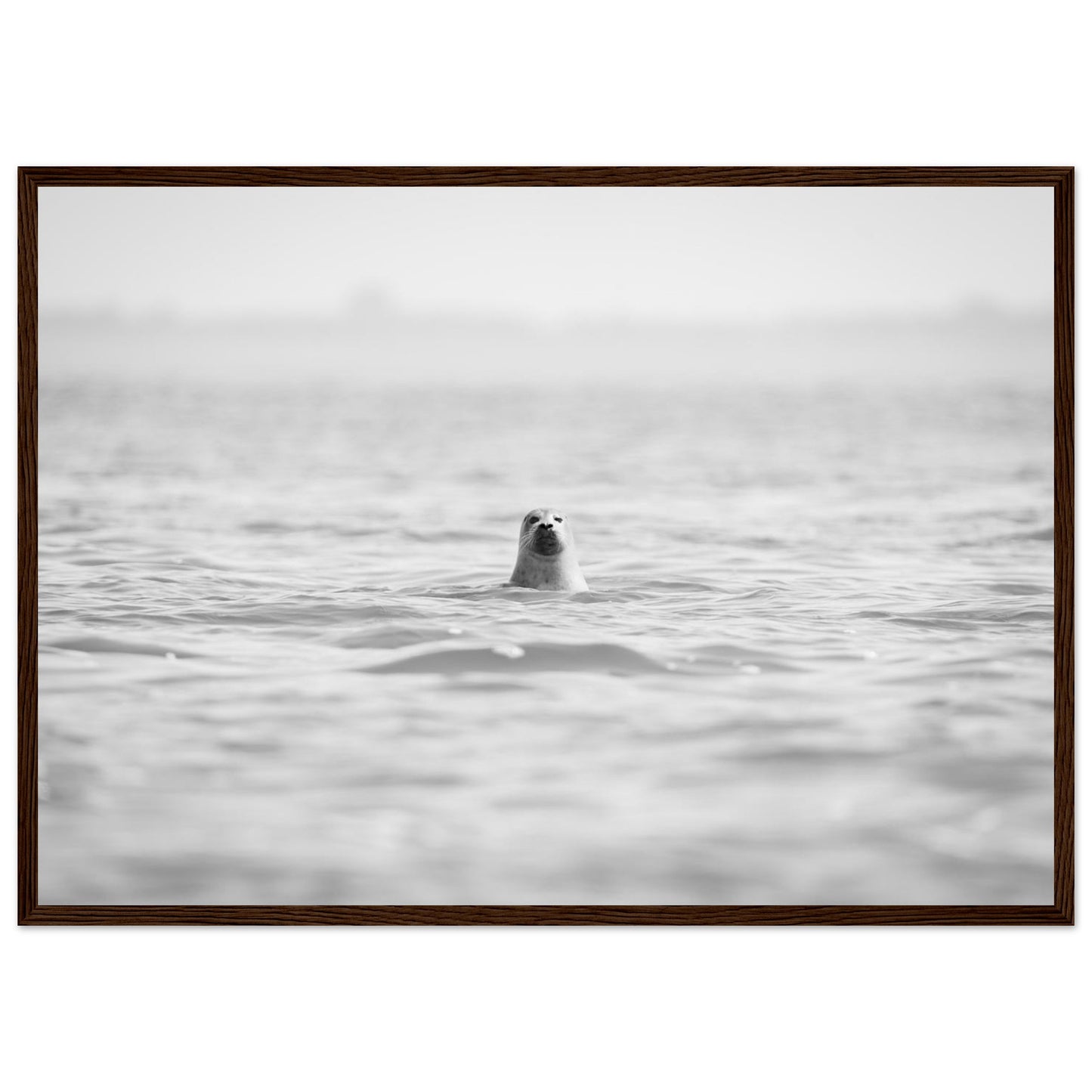 384dce4e-263e-4112-b01f-bff509333196