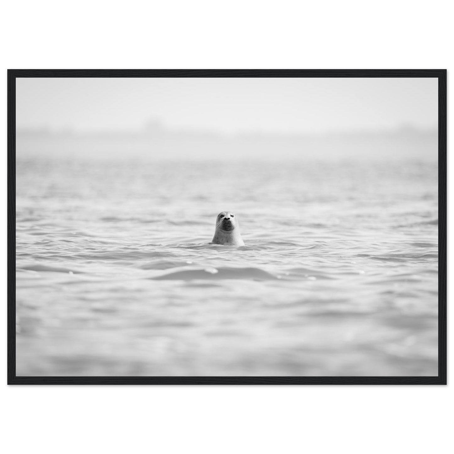 3ce9dc4d-a5c9-43af-aa48-90b0e104aea8