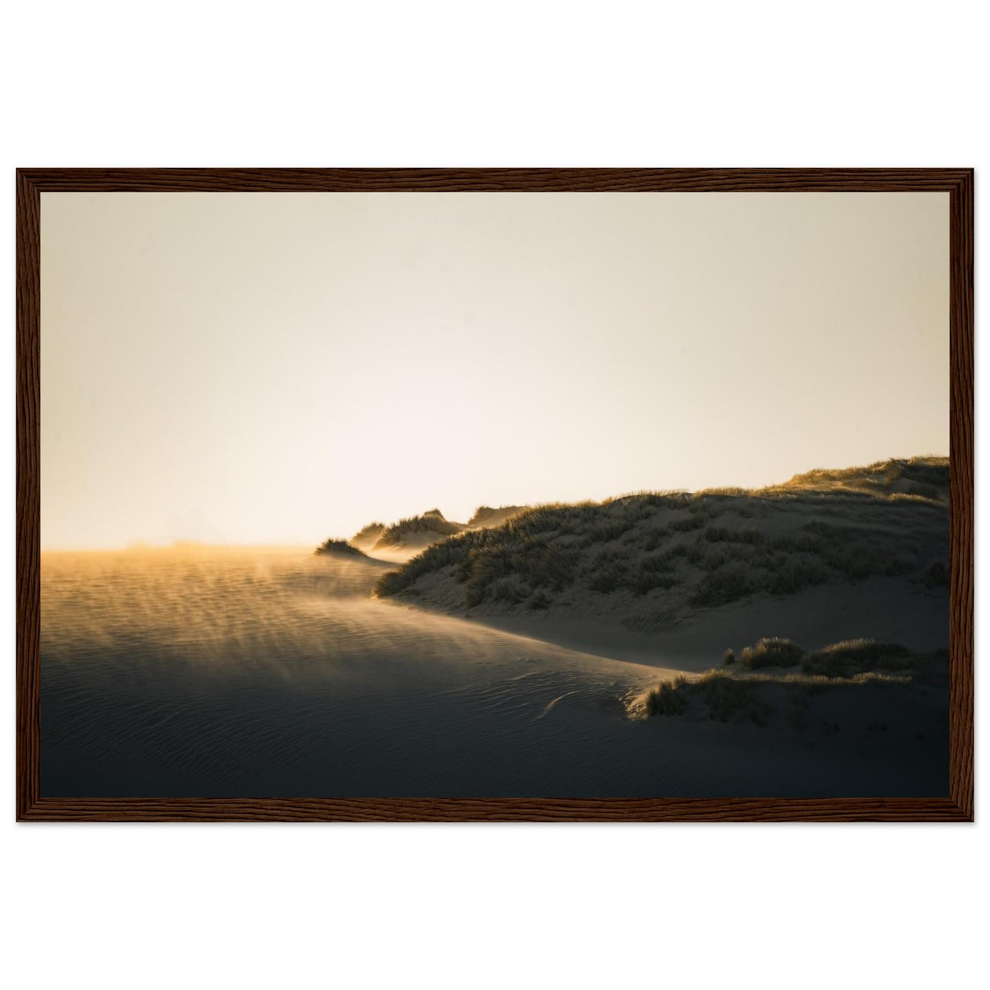 3e19f254-e566-4b66-a858-446b437679da