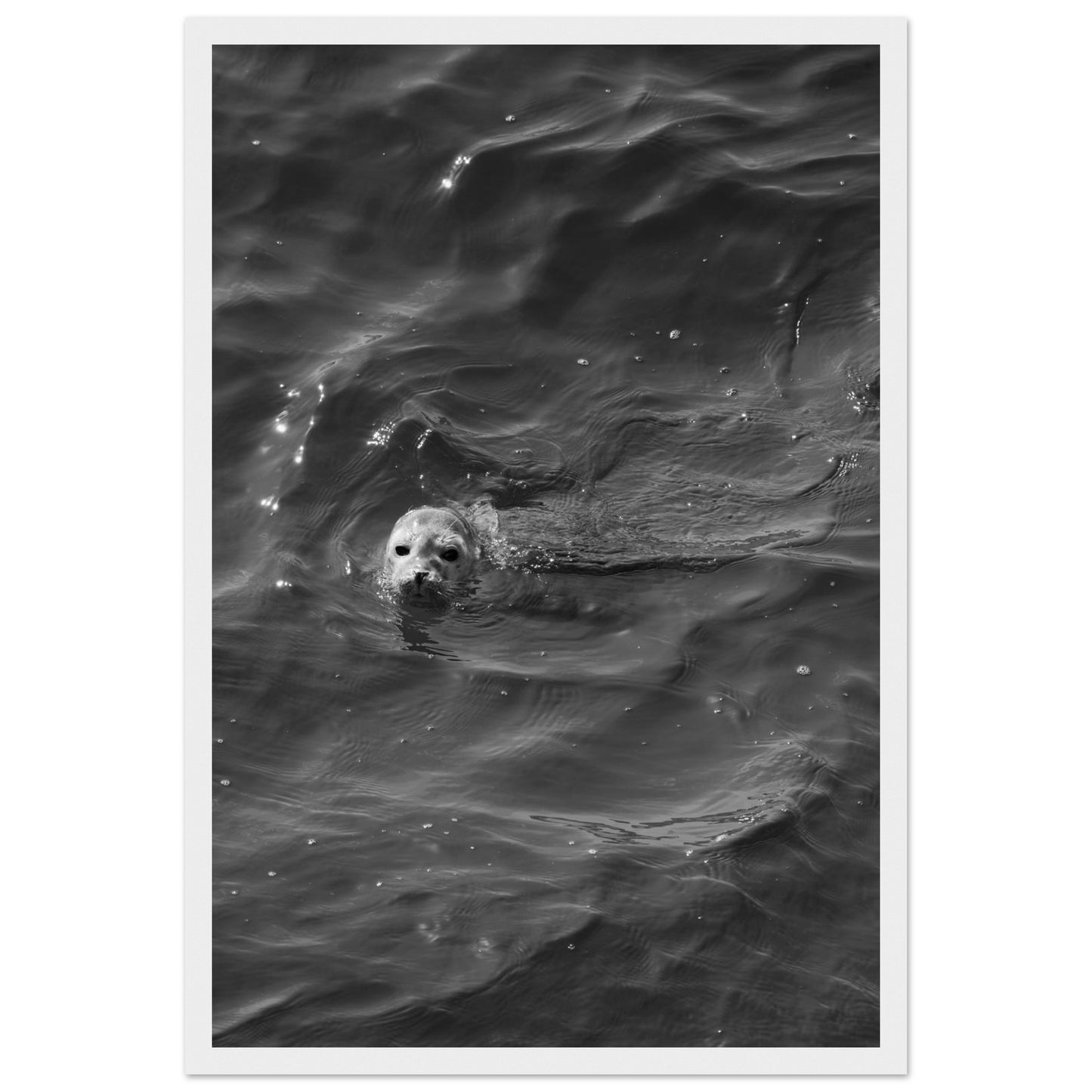 5014803f-000a-4391-b300-8af352694c48