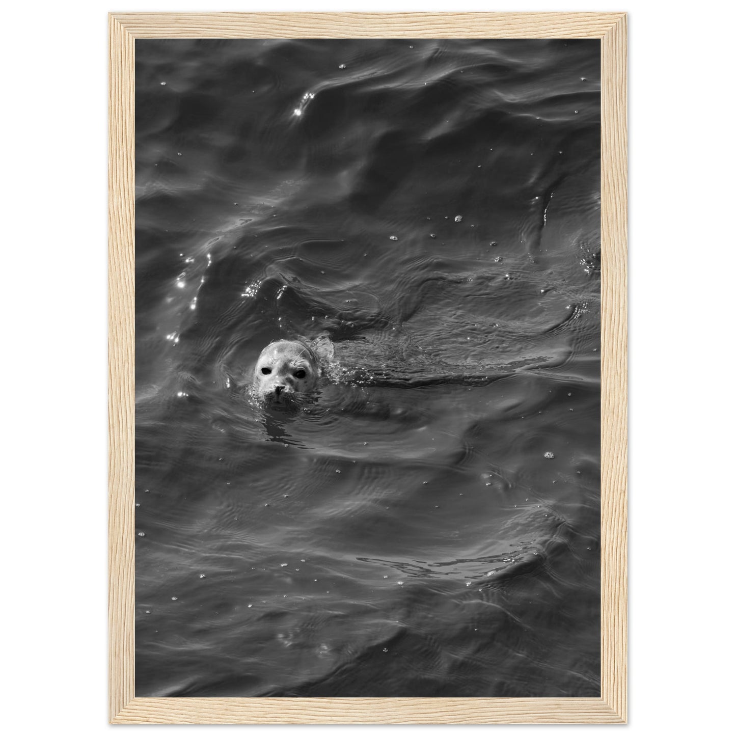 514bc645-0df6-4ee4-8073-e83e0bf2504b