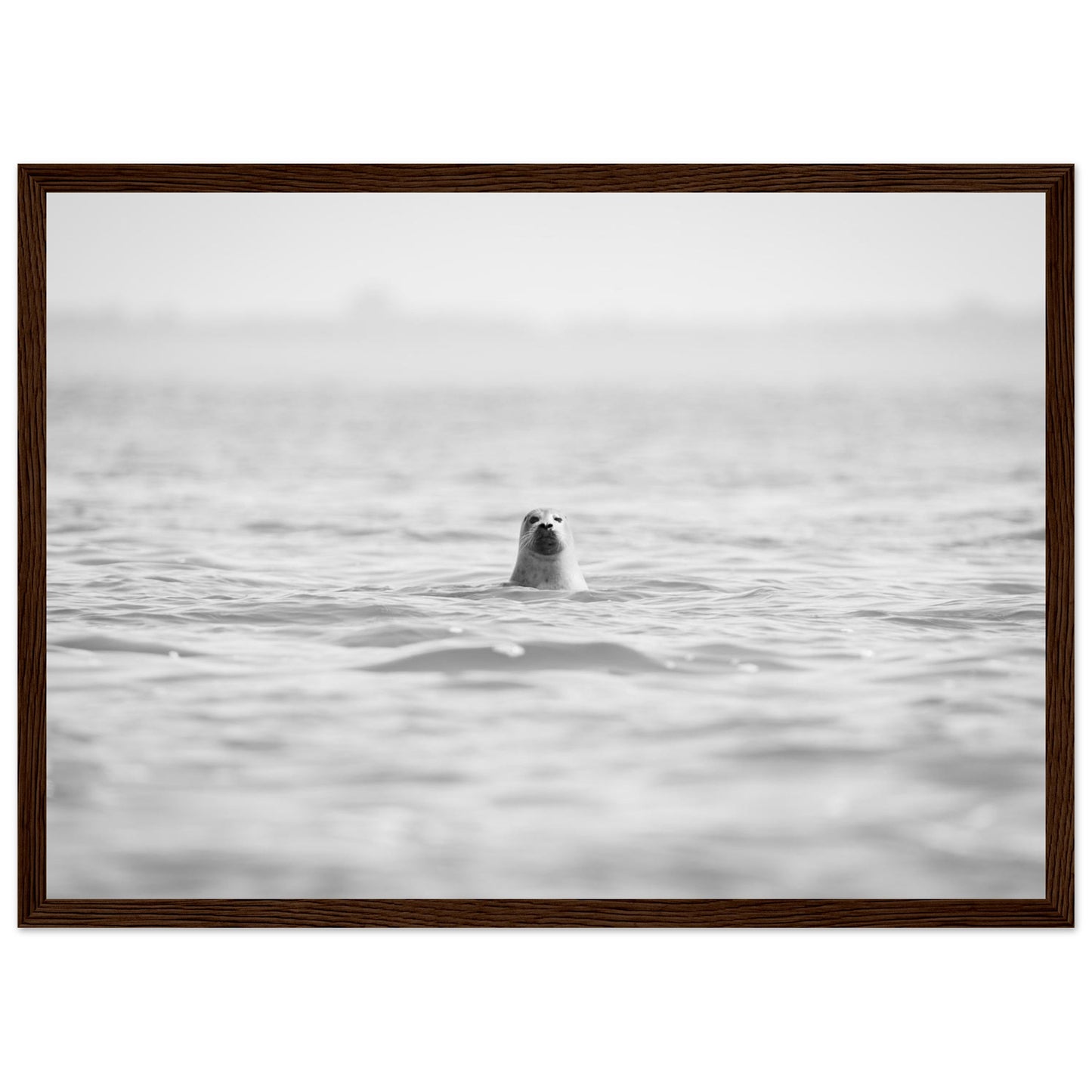 51c17fcd-e3a8-4058-8b37-45393ee012f5