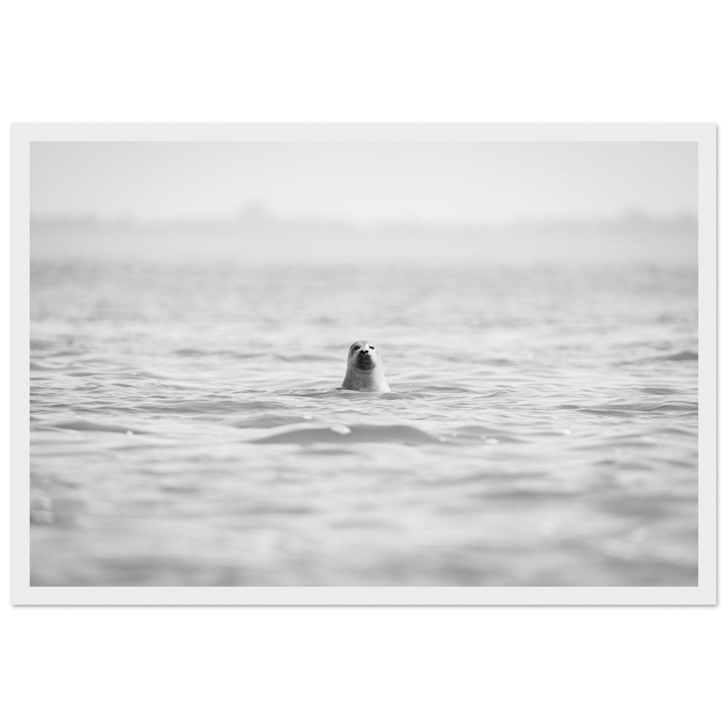 5c9c2b20-a02c-49f8-9dfb-e9b097c25cec