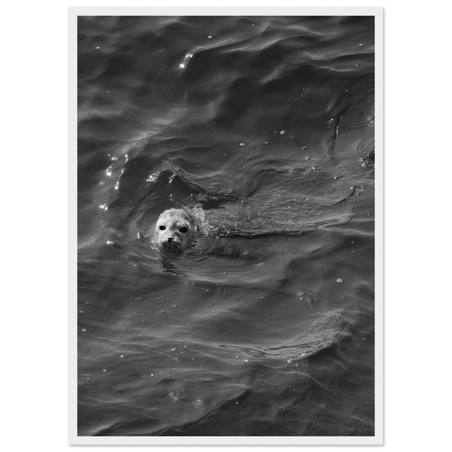 5ca782be-0aaa-4a86-b7ba-5097c0bb41c4