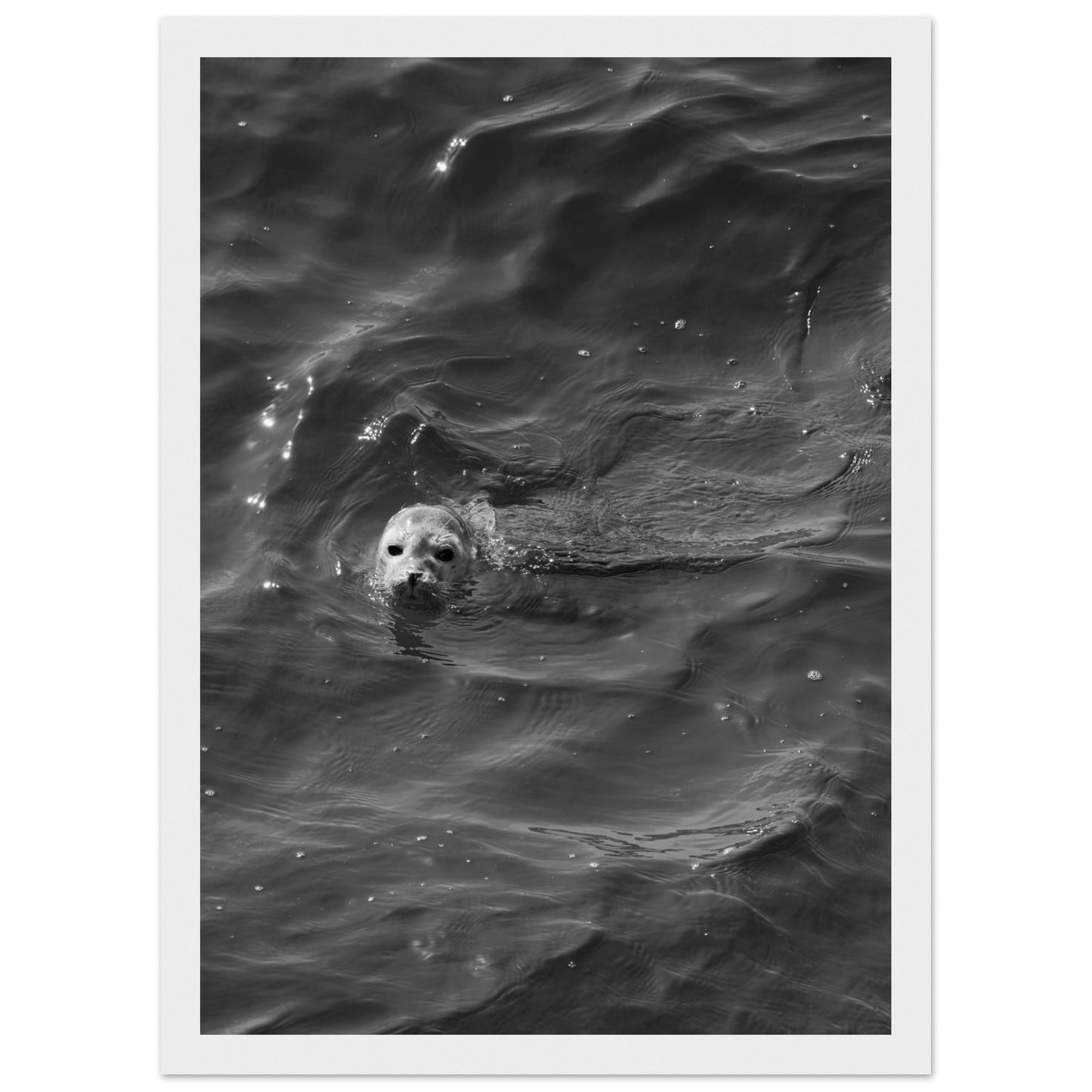 5d18baa1-7823-419c-a1d8-5193c31db6c8