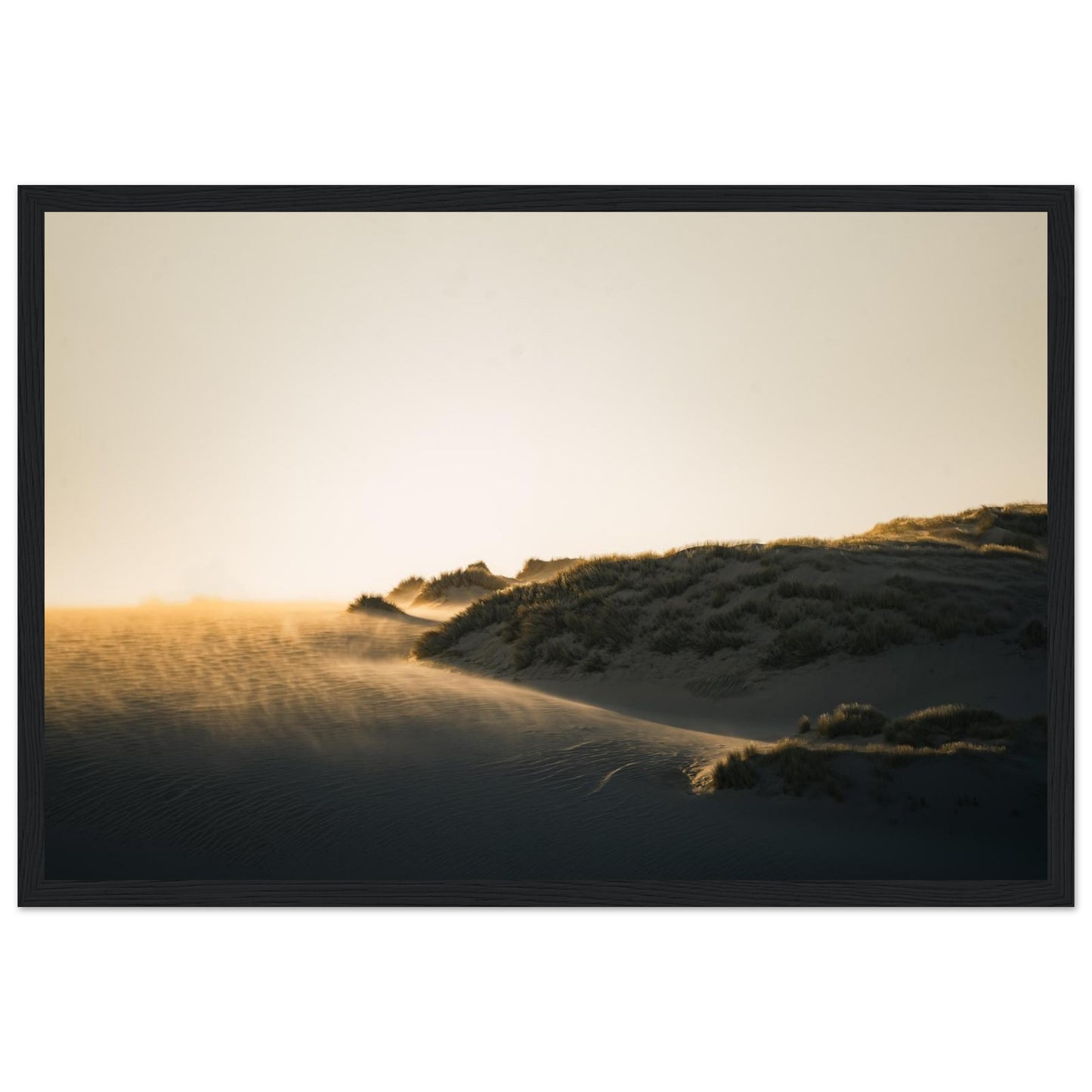 638de125-3515-4436-8cf8-5313a47c7718