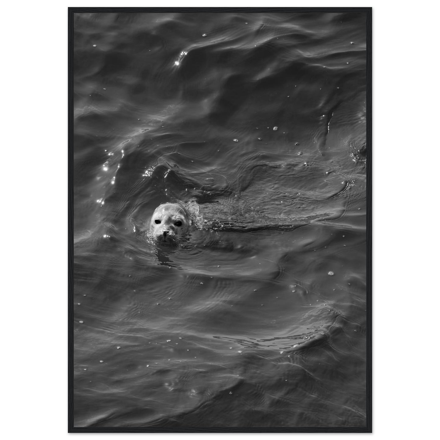 6652476a-4a7f-4f69-a56e-fd014b4bb23e