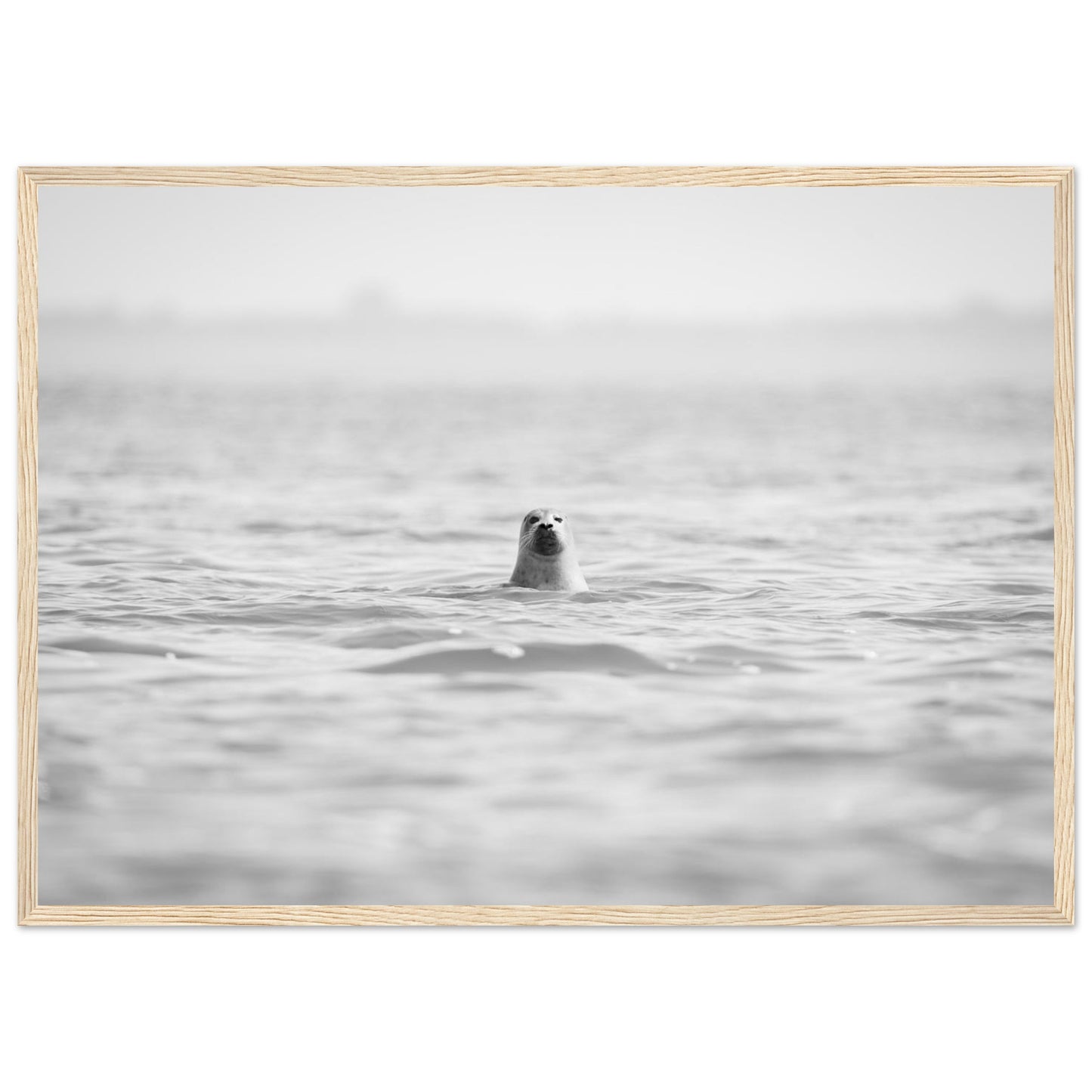 74a5ffb1-79af-48f5-8362-6c845bd173ec