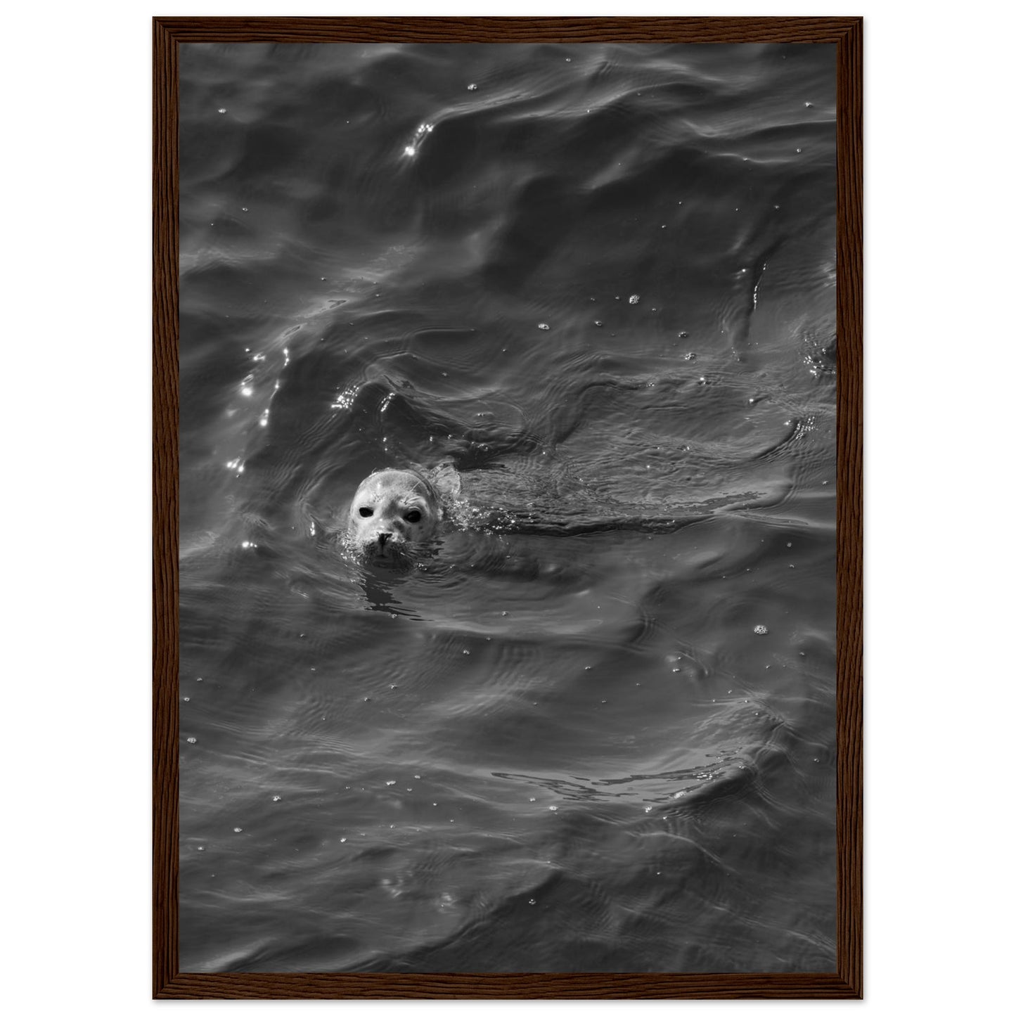 798e9427-74b7-496b-8273-5019eb2a820b