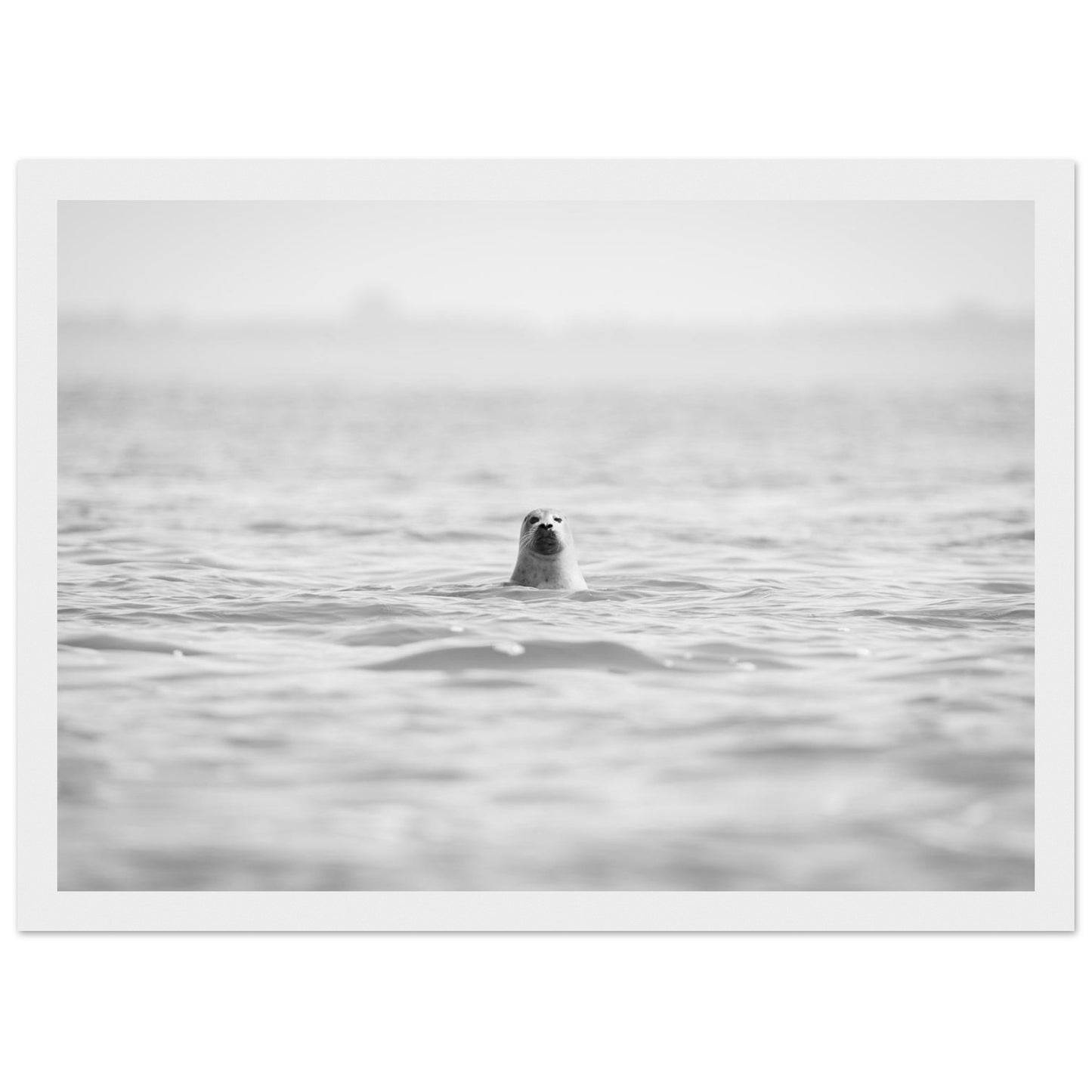 8d2391cf-8a54-474a-87cc-a88fc4919636