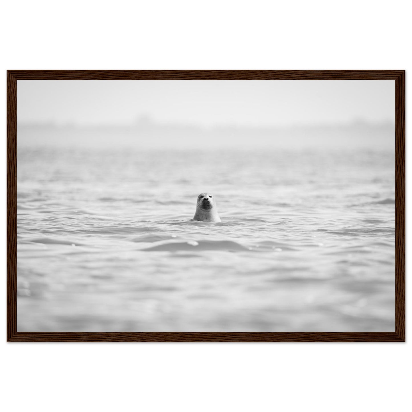 8d6a5437-c993-454b-986f-fa7372365e71