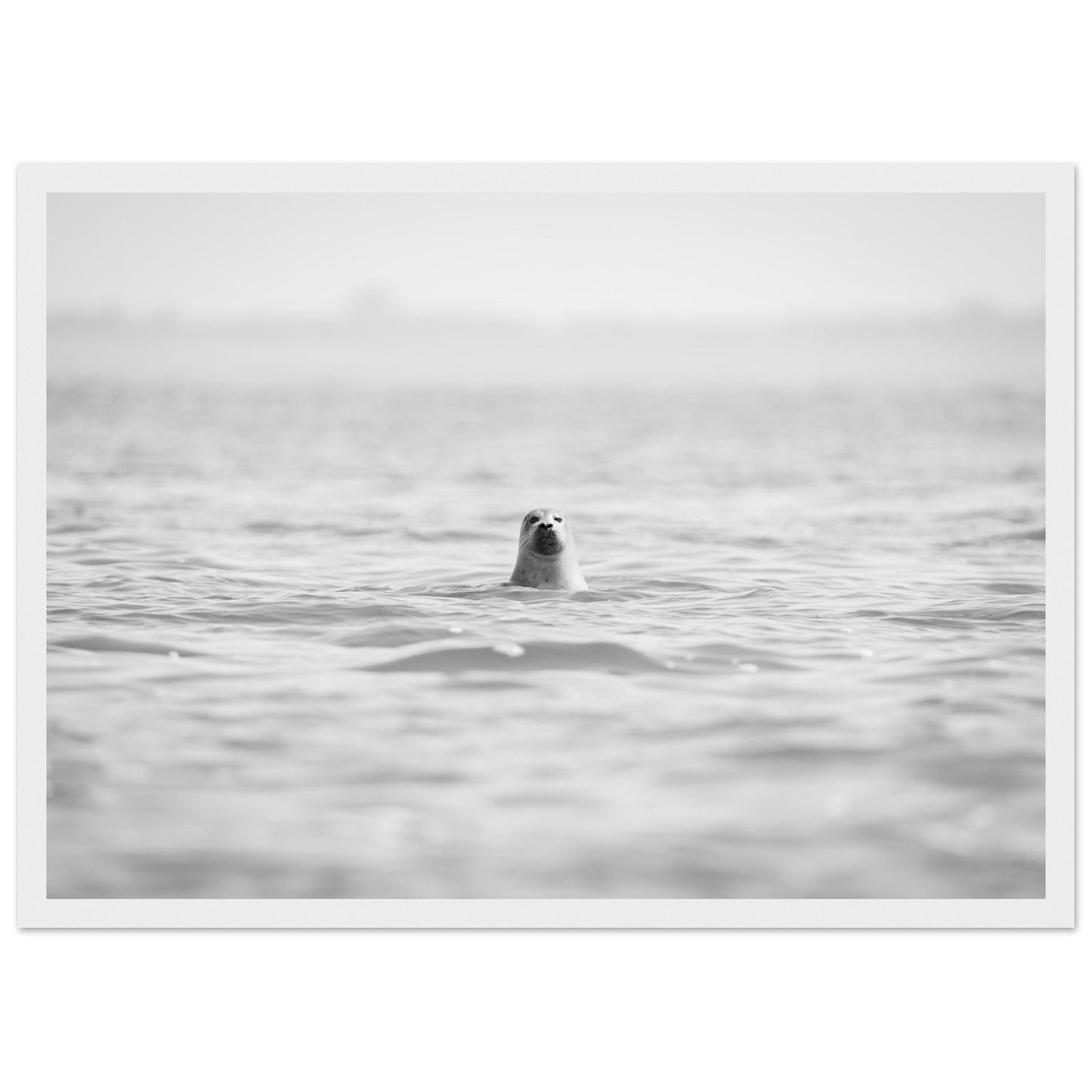 8f6ffecb-822d-46a5-b706-d13f52076d11