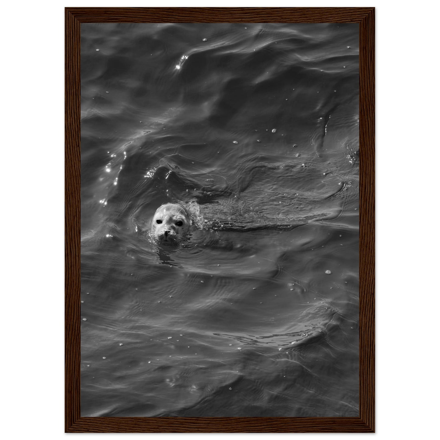 939dde6f-a419-4dd7-a0a7-3ebf6ea74509