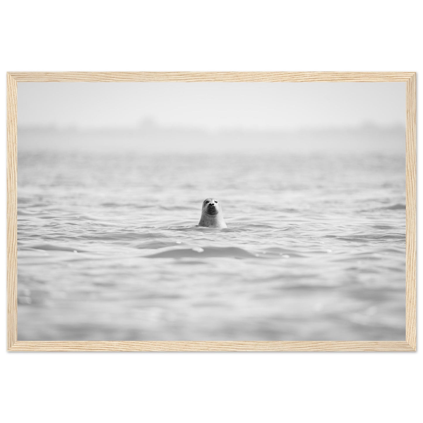 9616c994-556b-4cca-a735-a19ed8ce4707