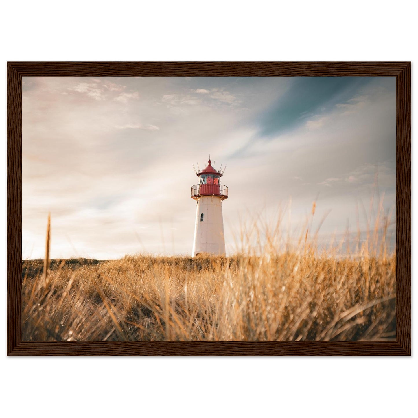 962ad1a8-af4d-4b38-bc23-85b467d974cd