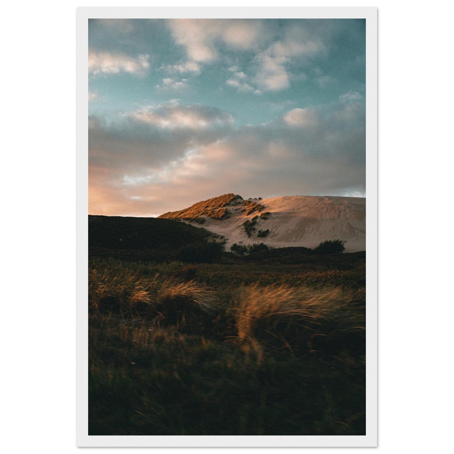 965b0e78-4fcc-47da-bb03-bbee1a38c021