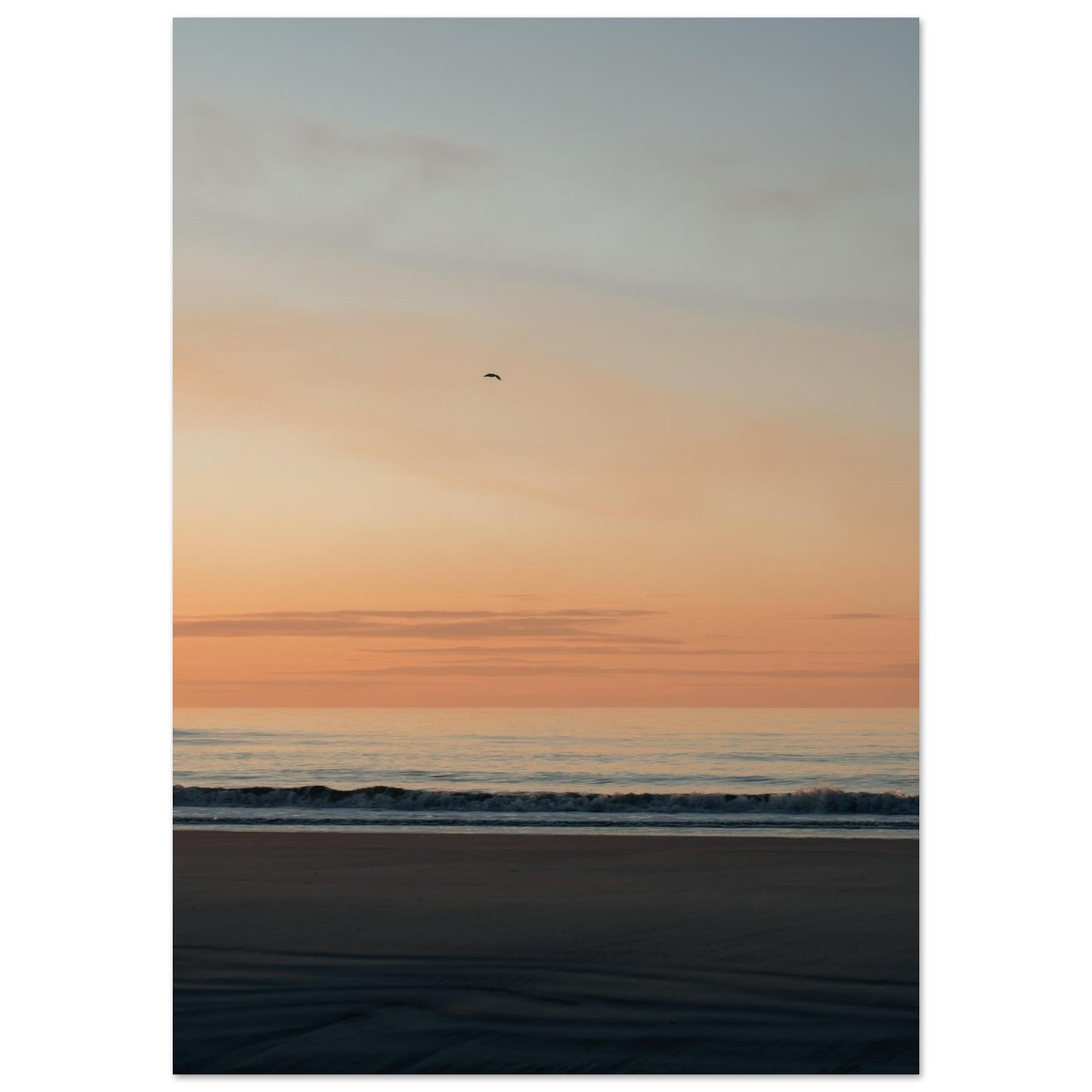 9b2283e0-3592-4f89-bbb4-ed23e5fe4bee