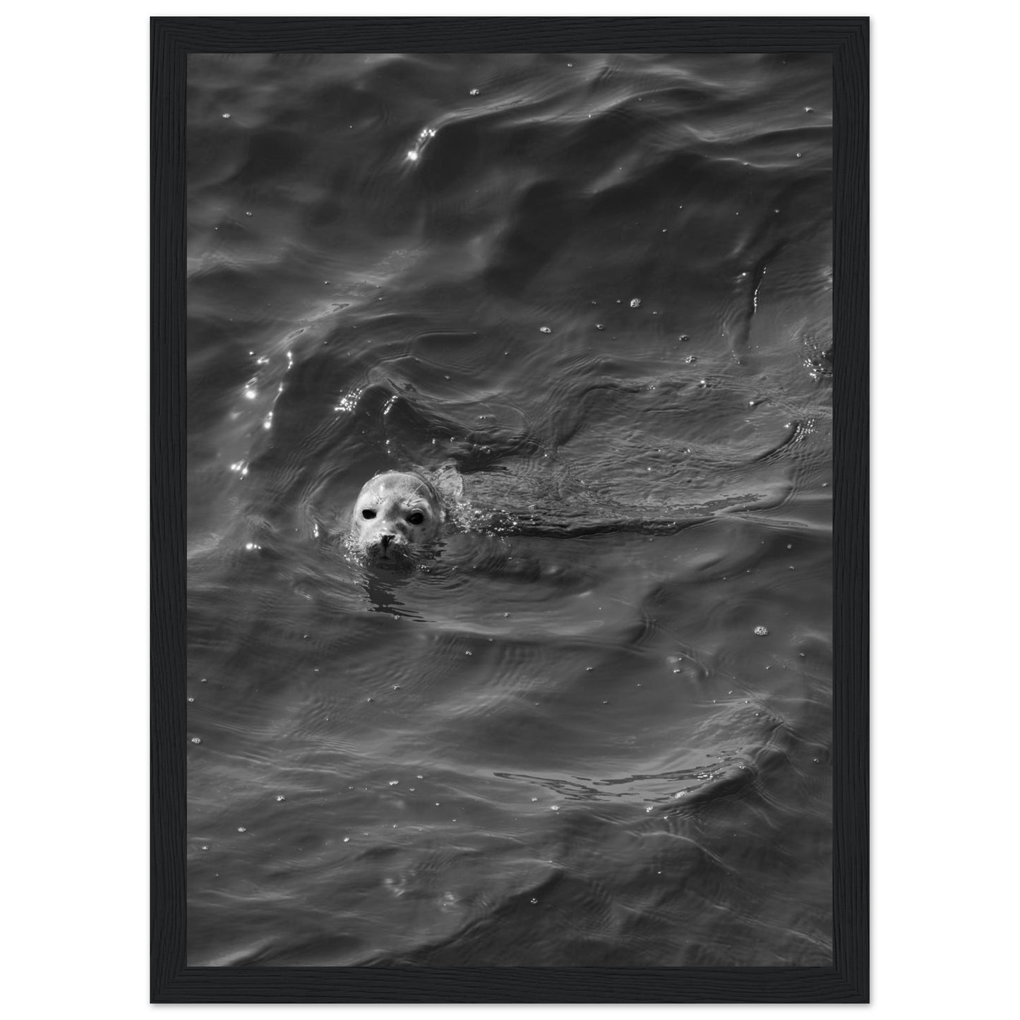 a0097320-4927-4181-9685-f161eca2a84b