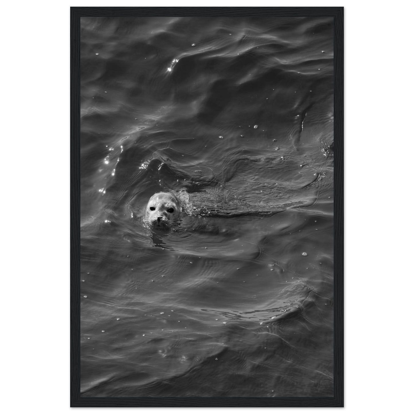 a9743696-96f7-4522-a854-4994d9f427fe