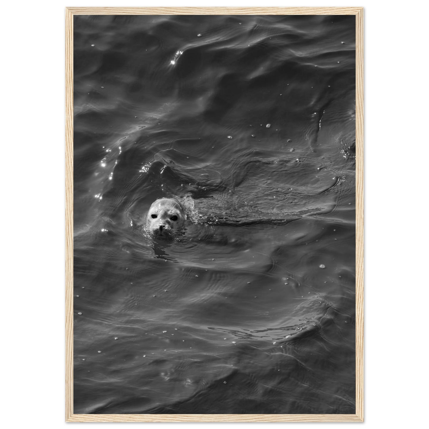 b2d20168-55aa-485f-953c-0f2877c43c49