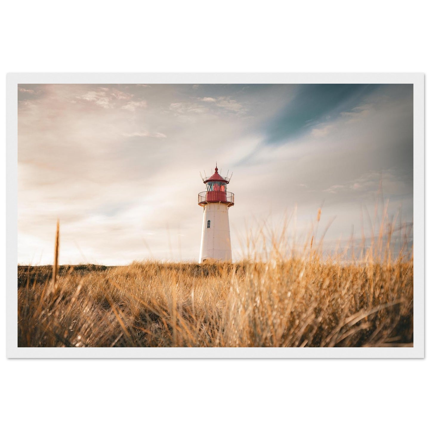 b98bcfd1-b474-4f6b-9b4b-2085dc12abd4