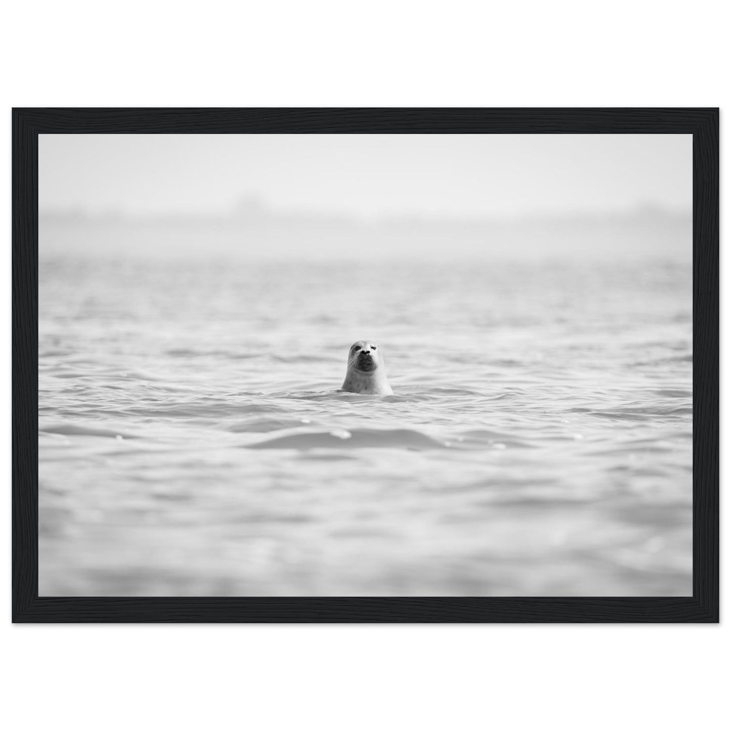 bab01b89-0173-4d70-9eac-4dff174a2d2c