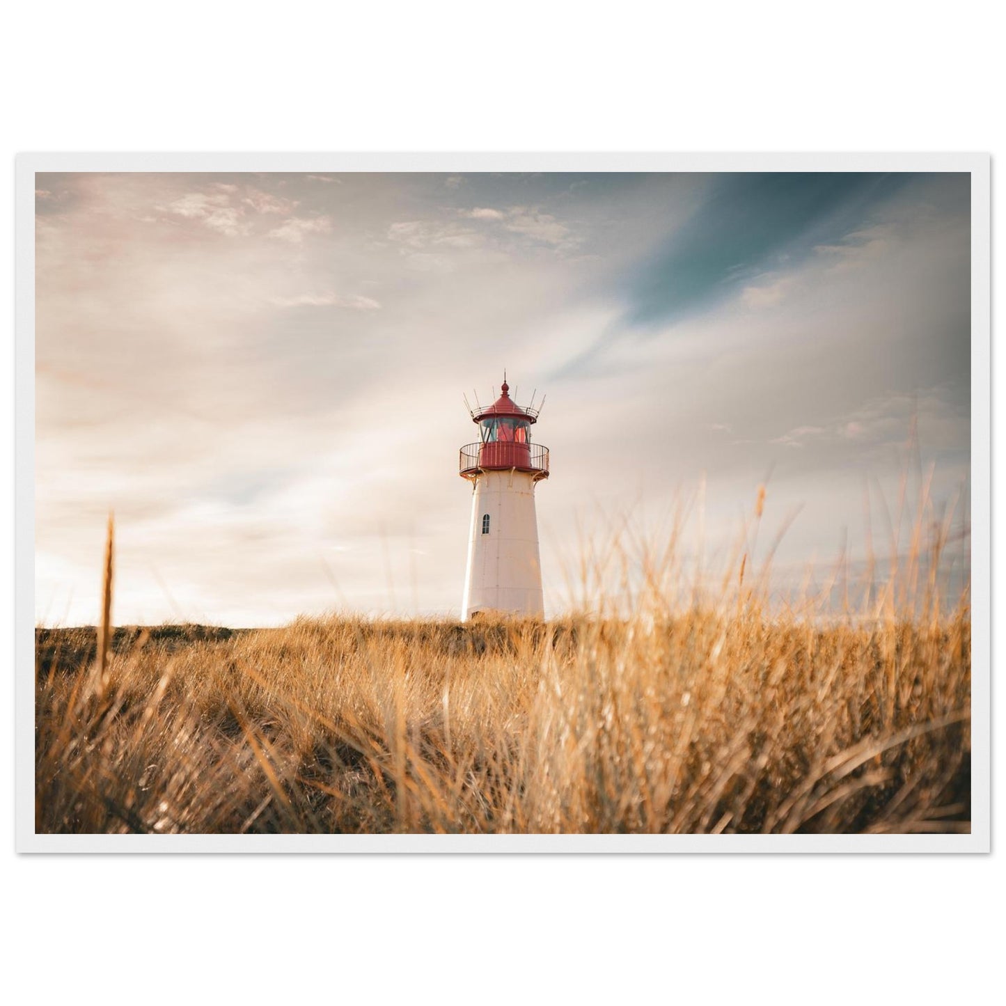 bd1bc3cf-1f2f-4115-aa64-46d1e25beb12