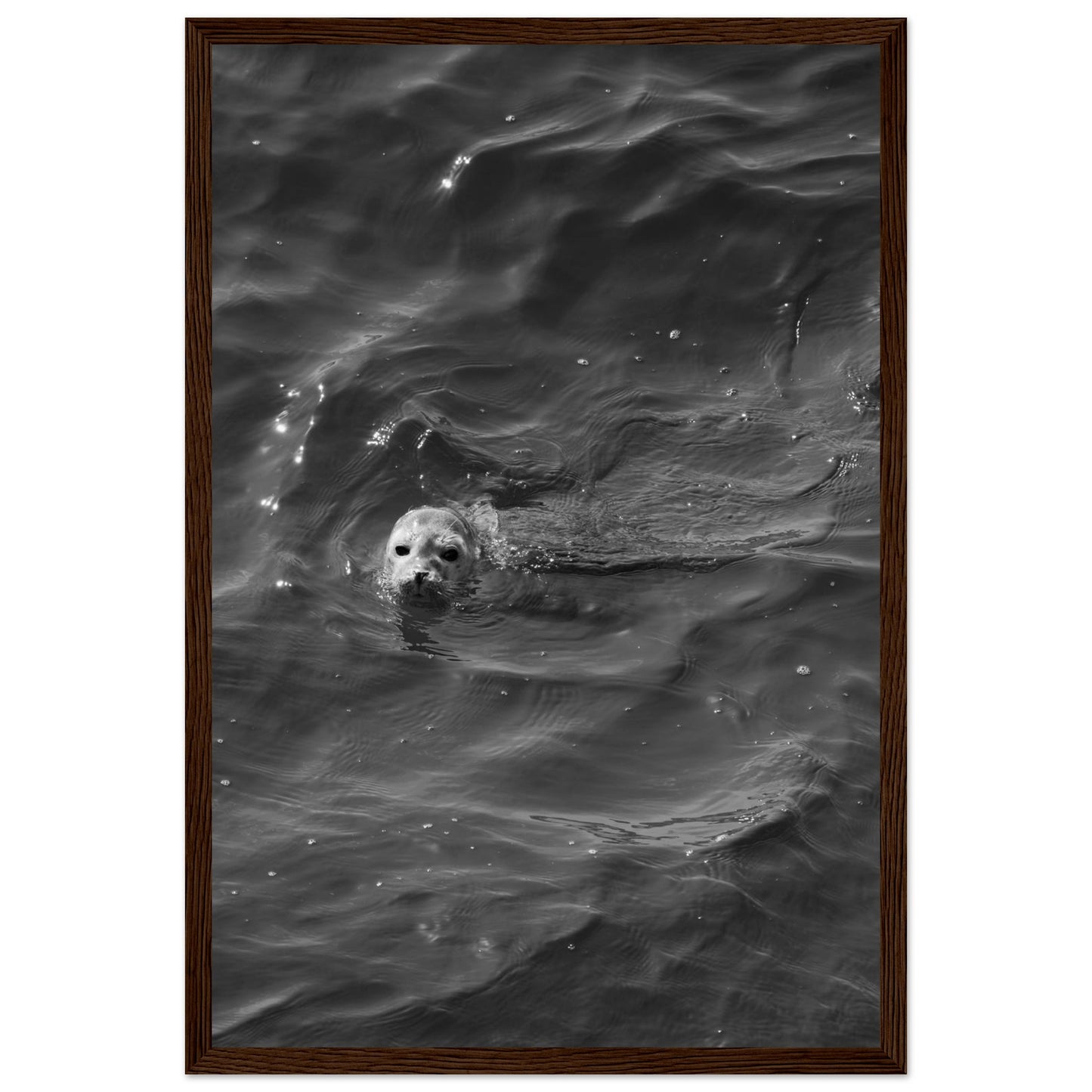 c182cffd-692d-4b94-8165-a803bb4fbd54