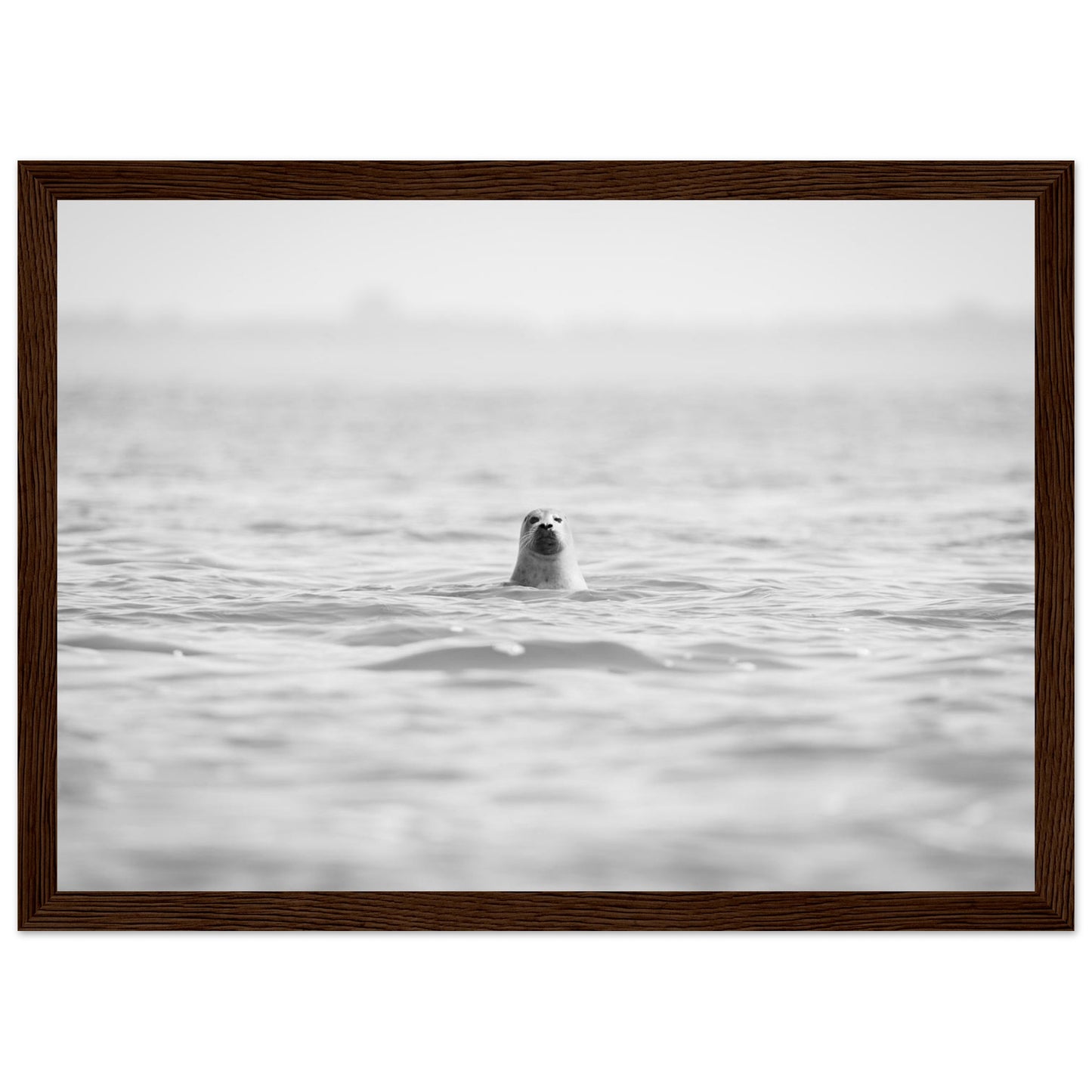 c93f7ef4-94b4-4ae2-a3bb-6b1d8448c120