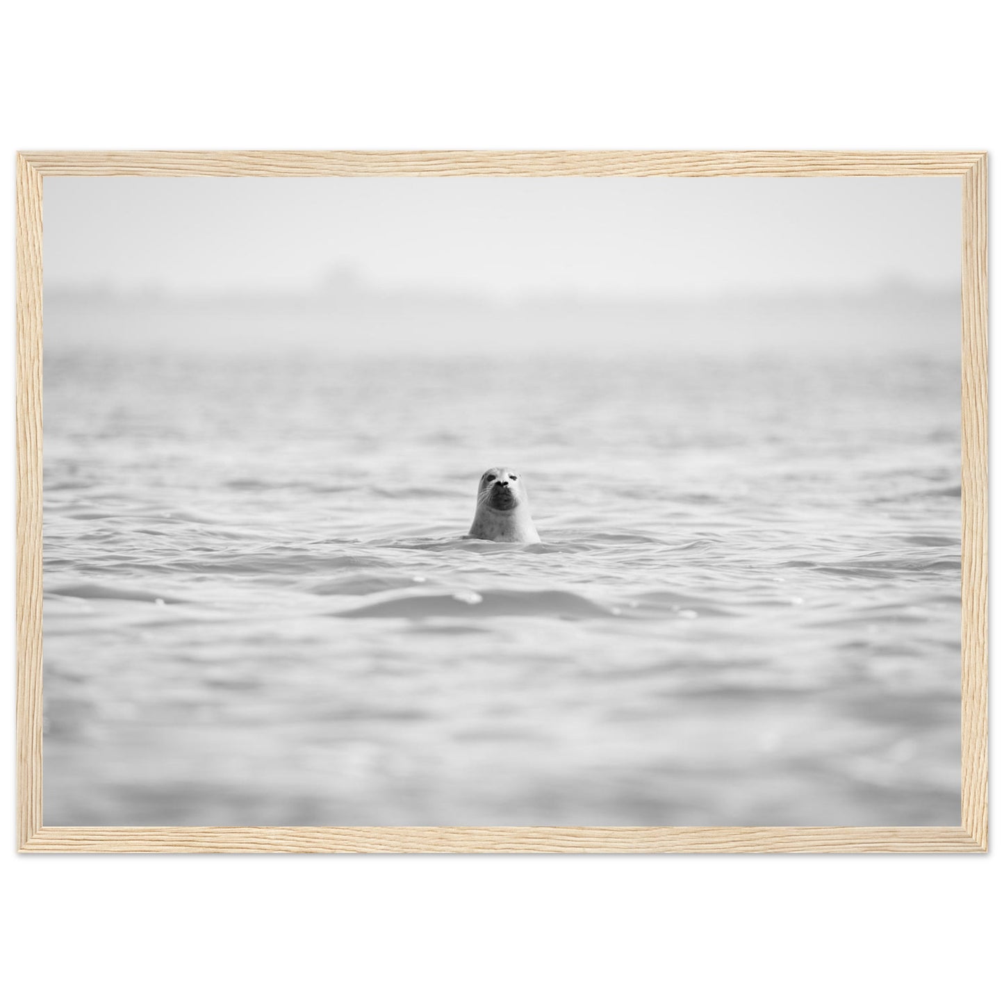 d9c538b9-8cf2-4d9f-9475-315d23816f18