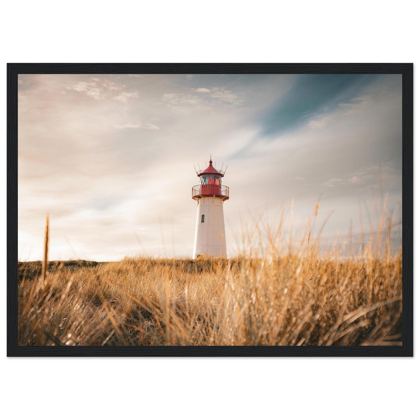 e70399c0-efbc-4606-9348-43a63e70efae