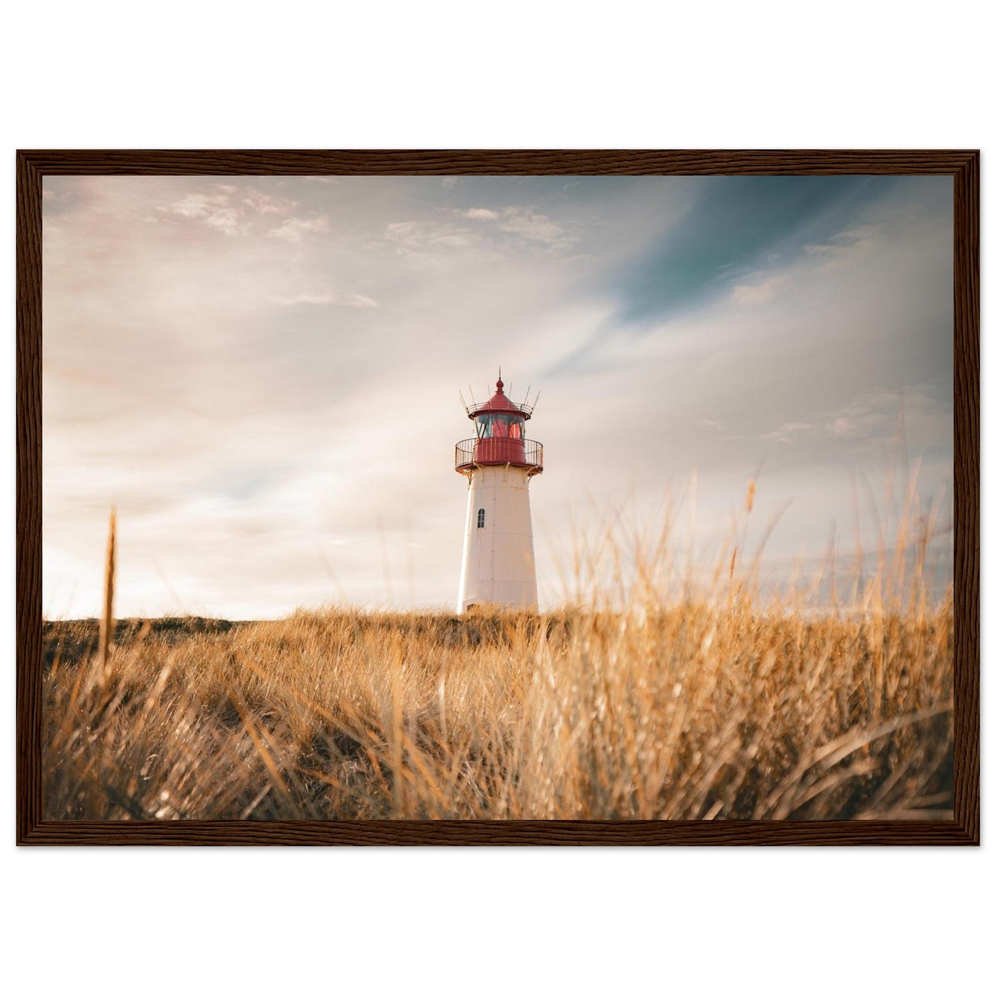 e9f5ae10-2873-4905-8772-abc174d7a88f