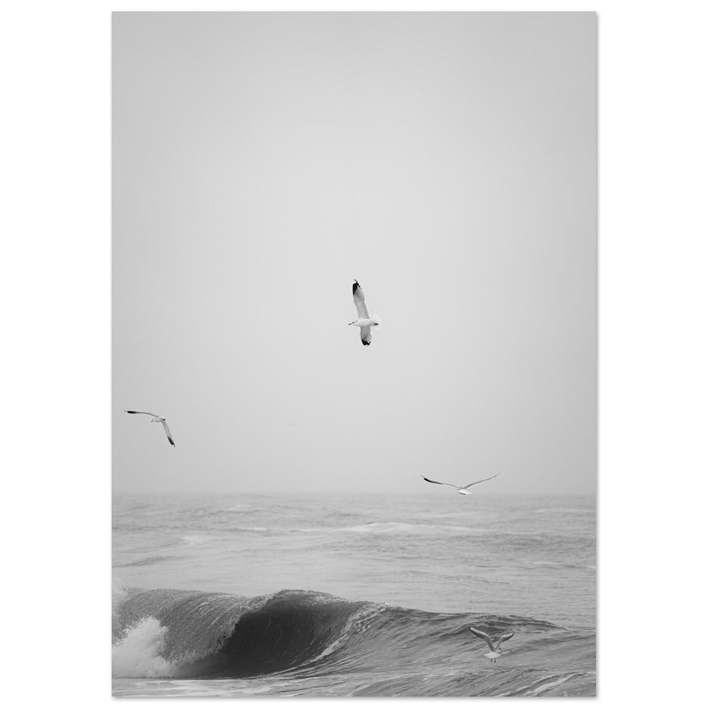 f4670fc4-7f2f-4a09-9d0a-cbb647053857